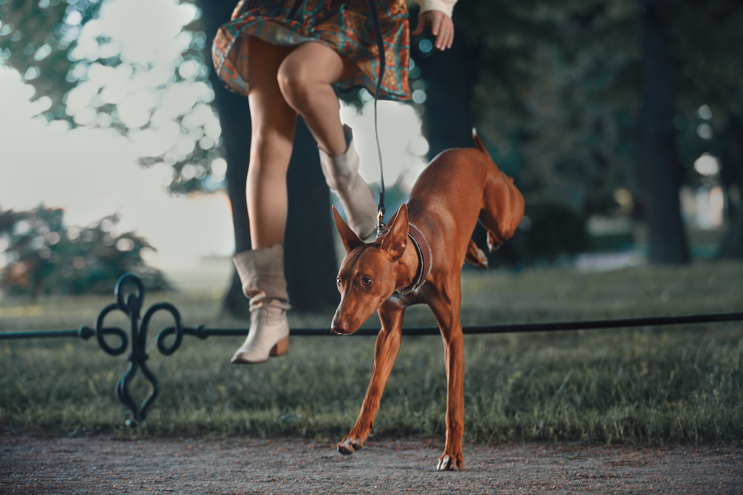 Оля и Шила в центре. Фотограф-анималист Наталия Чистюхина в г. Сосновый Бор и ЛО