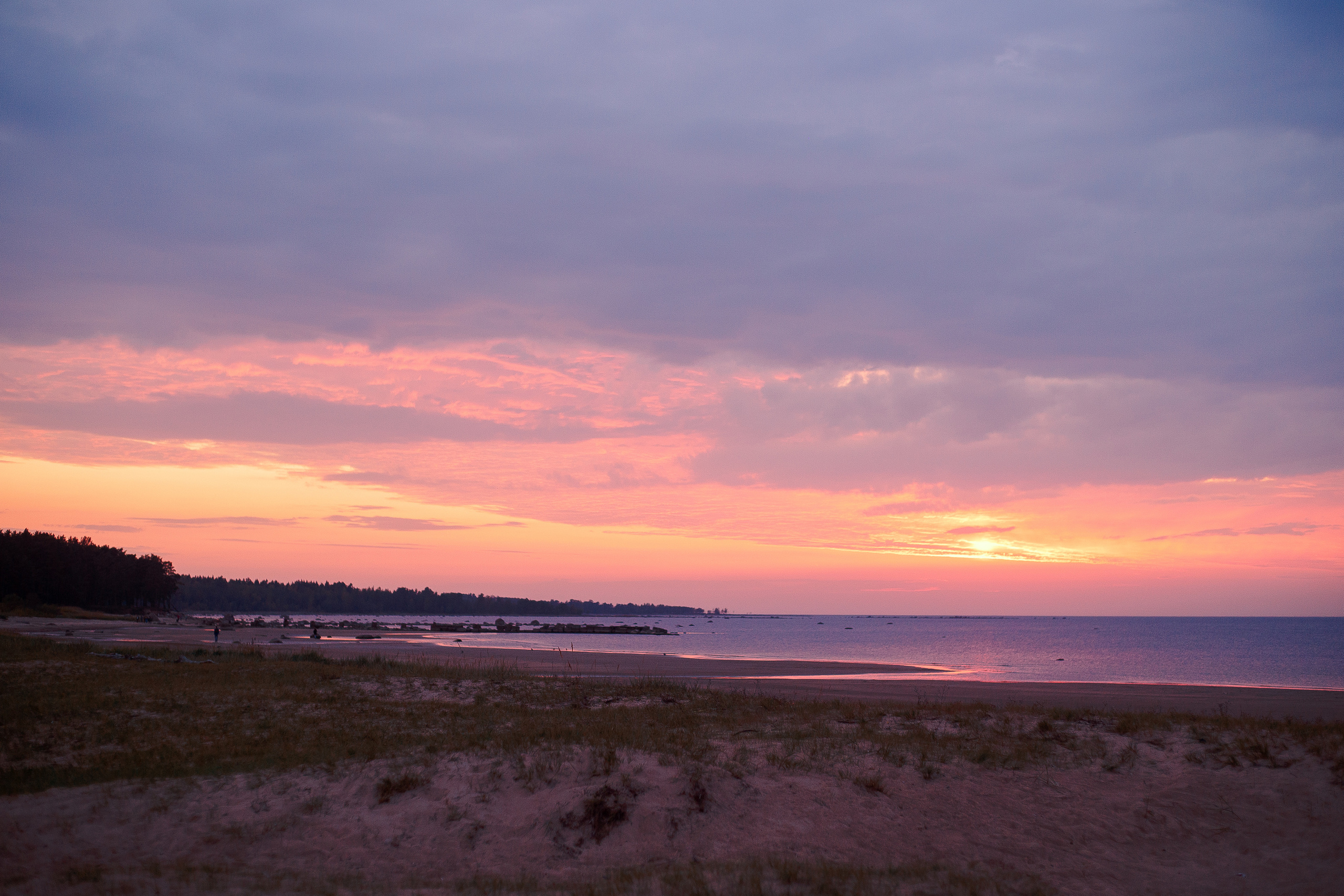 Закат на Финском заливе. Фотограф-анималист Наталия Чистюхина в г. Сосновый Бор и ЛО