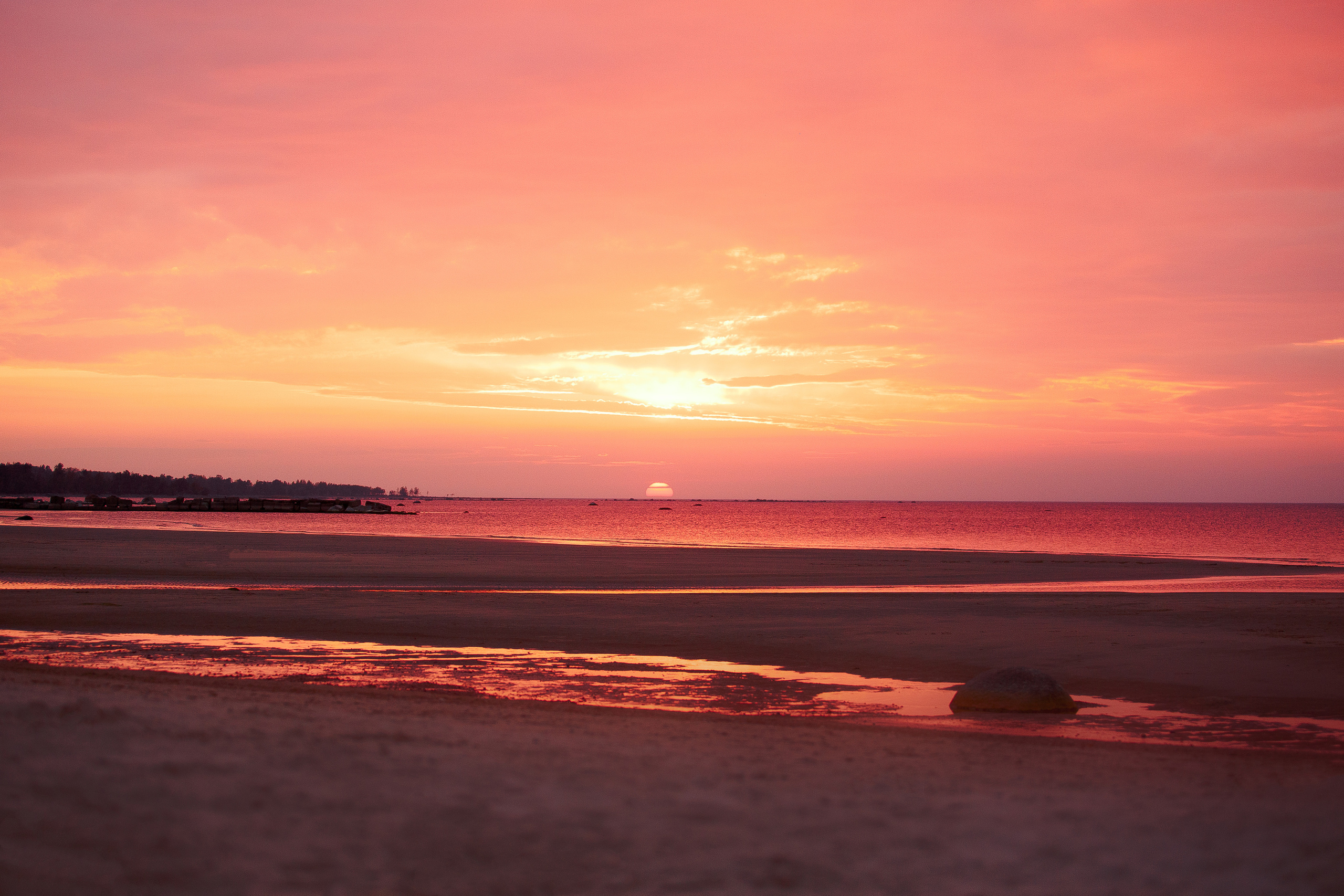 Закат на Финском заливе. Фотограф-анималист Наталия Чистюхина в г. Сосновый Бор и ЛО