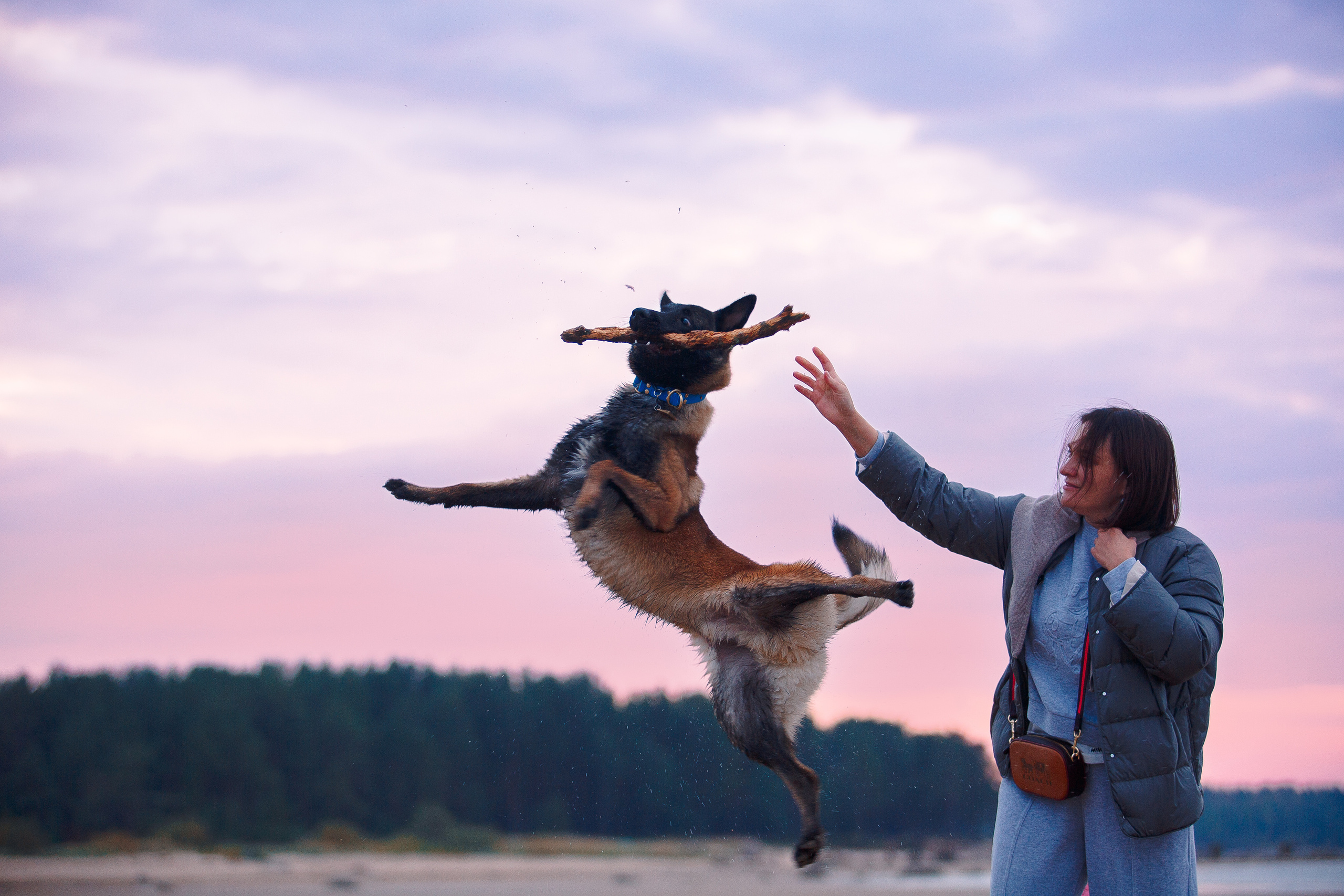 Закат на Финском заливе. Фотограф-анималист Наталия Чистюхина в г. Сосновый Бор и ЛО