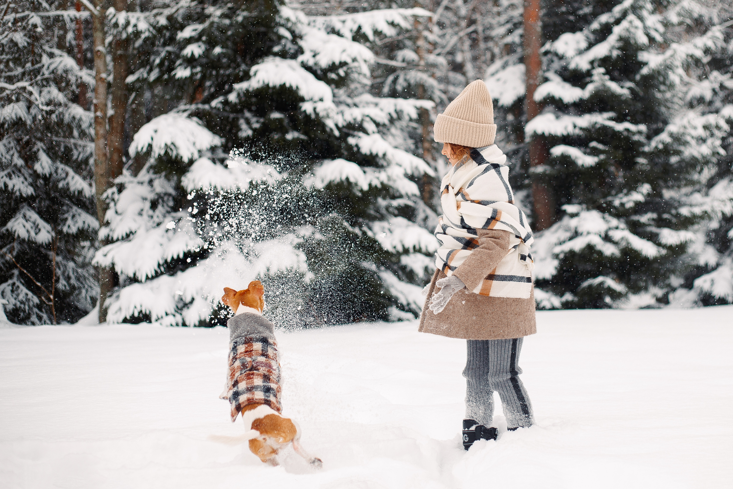 Дана, Варя, Анфиса и Миша в Ручьях. Фотограф-анималист Наталия Чистюхина в г. Сосновый Бор и ЛО