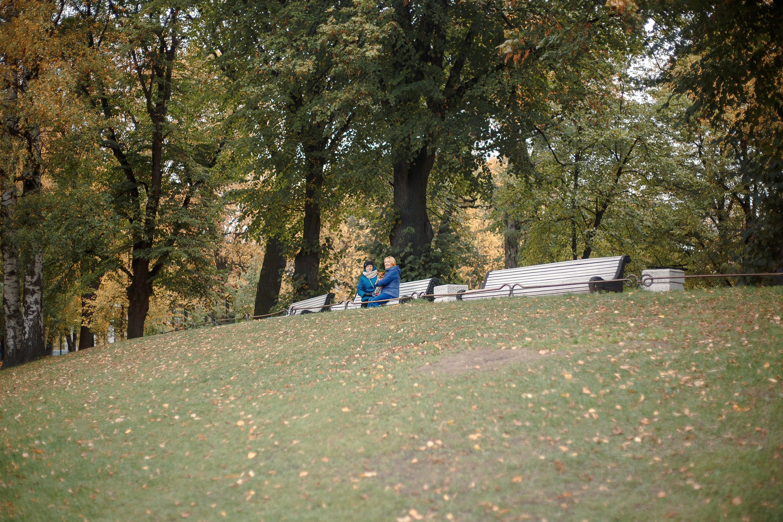 Таврический сад осенью. Фотограф-анималист Наталия Чистюхина в г. Сосновый Бор и ЛО