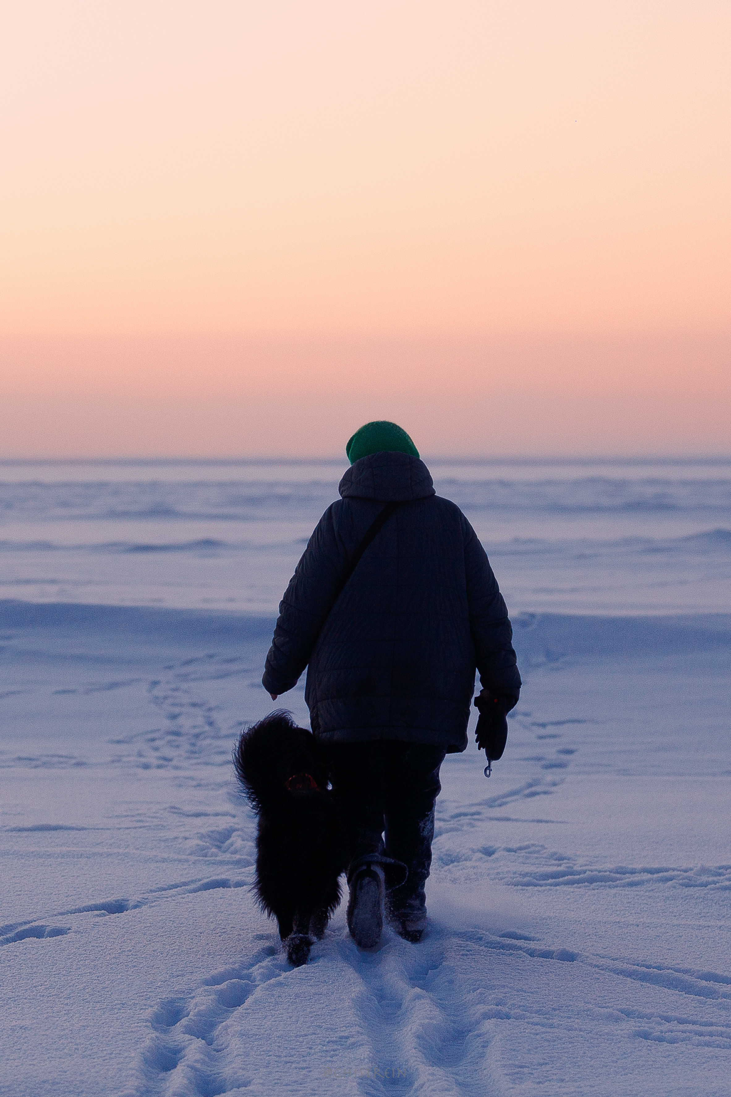 Модя. Закат на Финском заливе. Фотограф-анималист Наталия Чистюхина в г. Сосновый Бор и ЛО