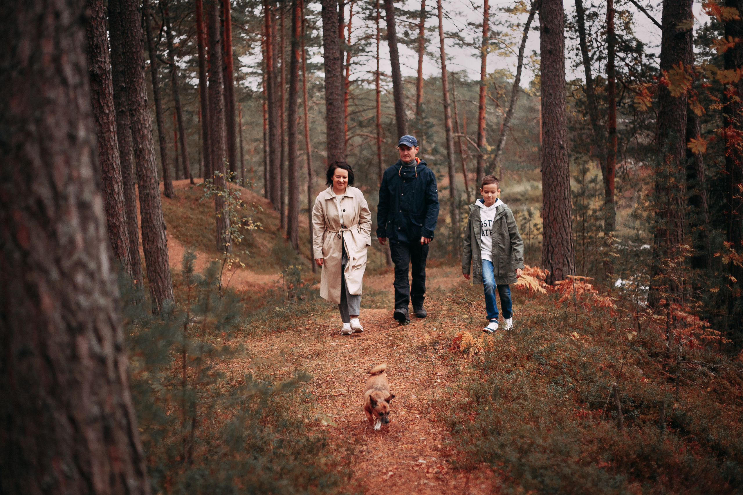 Осенний лес в Сосновом Бору. Фотограф-анималист Наталия Чистюхина в г. Сосновый Бор и ЛО