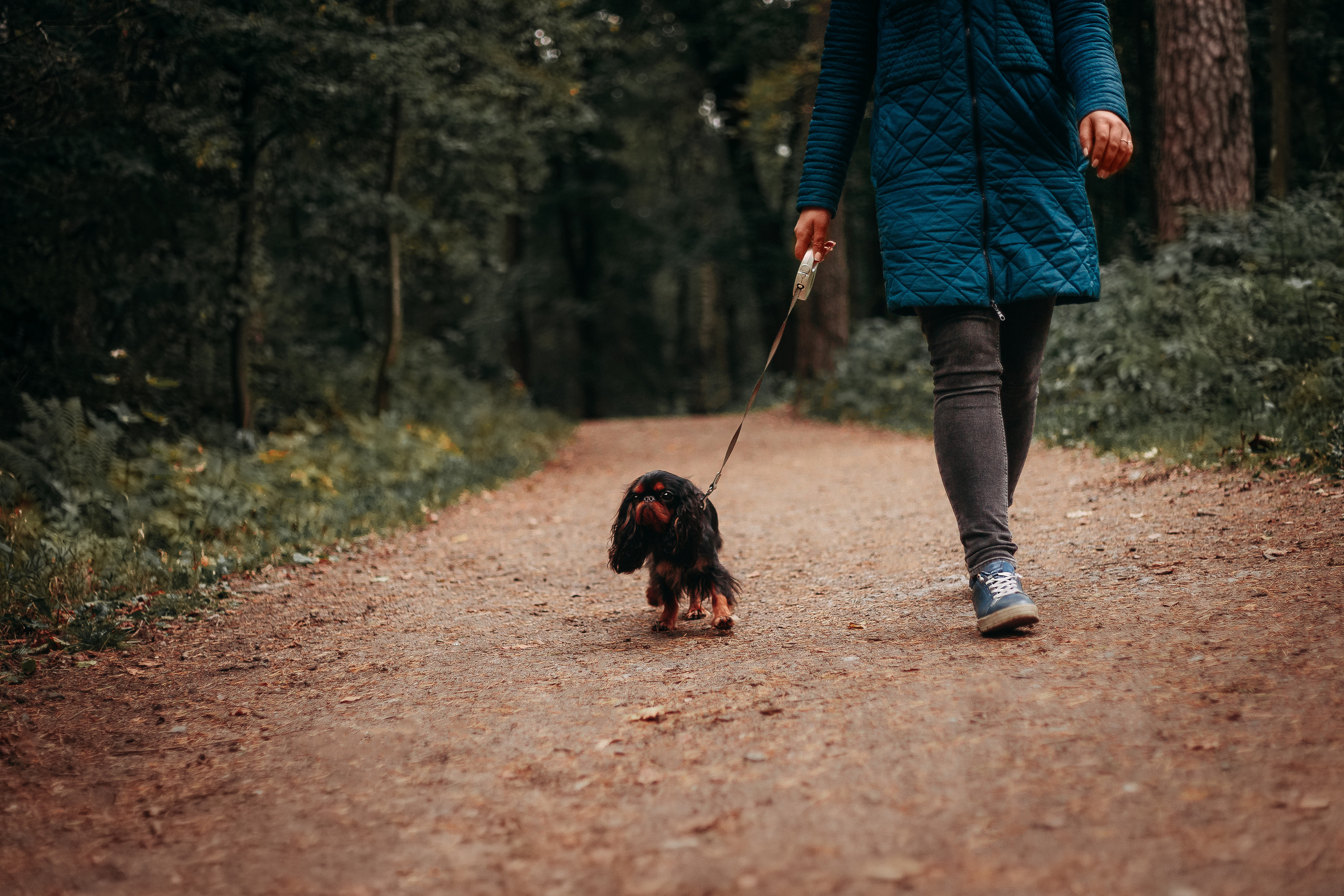 Шуваловский парк. Фотограф-анималист Наталия Чистюхина в г. Сосновый Бор и ЛО