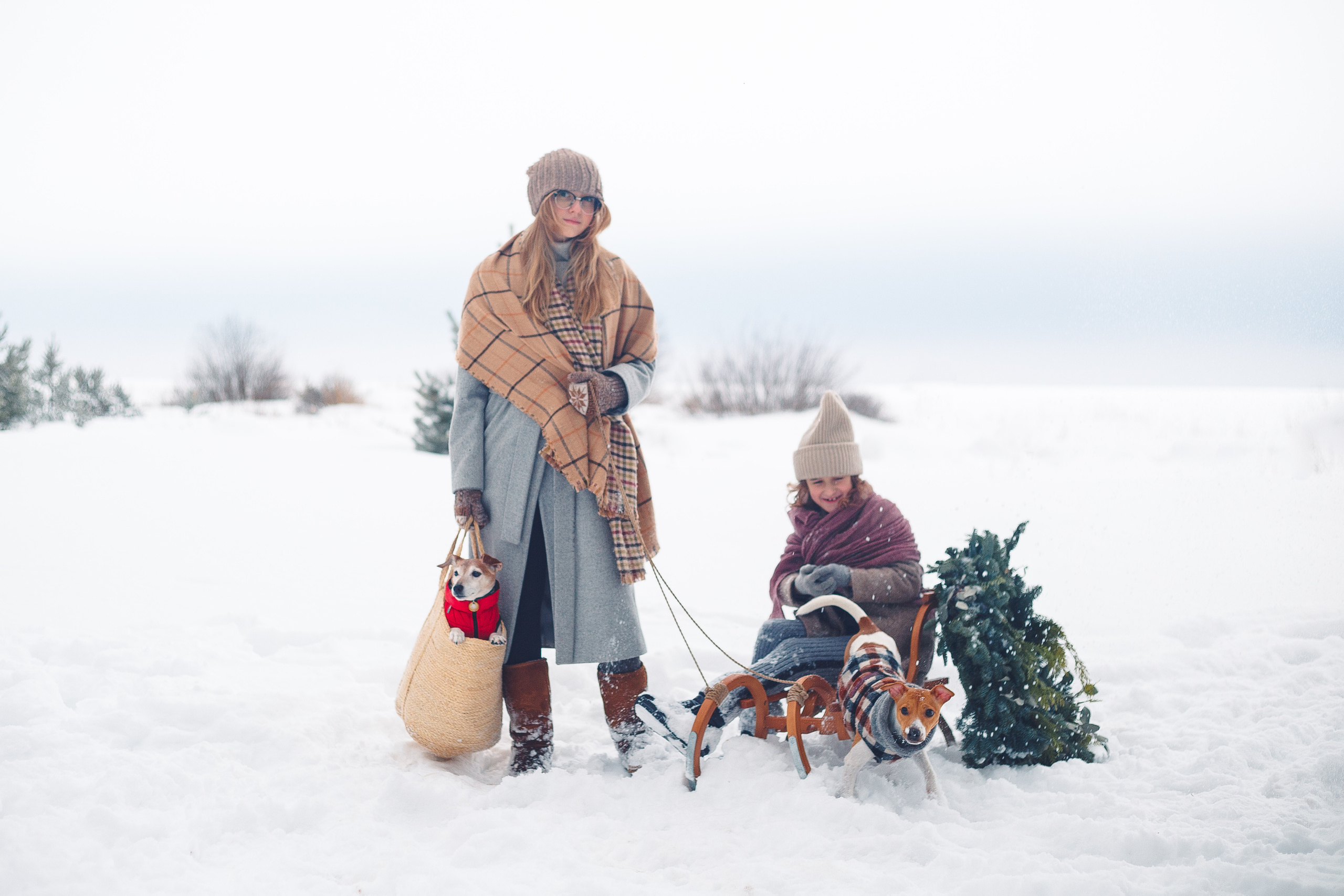 Дана, Варя, Анфиса и Миша в Ручьях. Фотограф-анималист Наталия Чистюхина в г. Сосновый Бор и ЛО