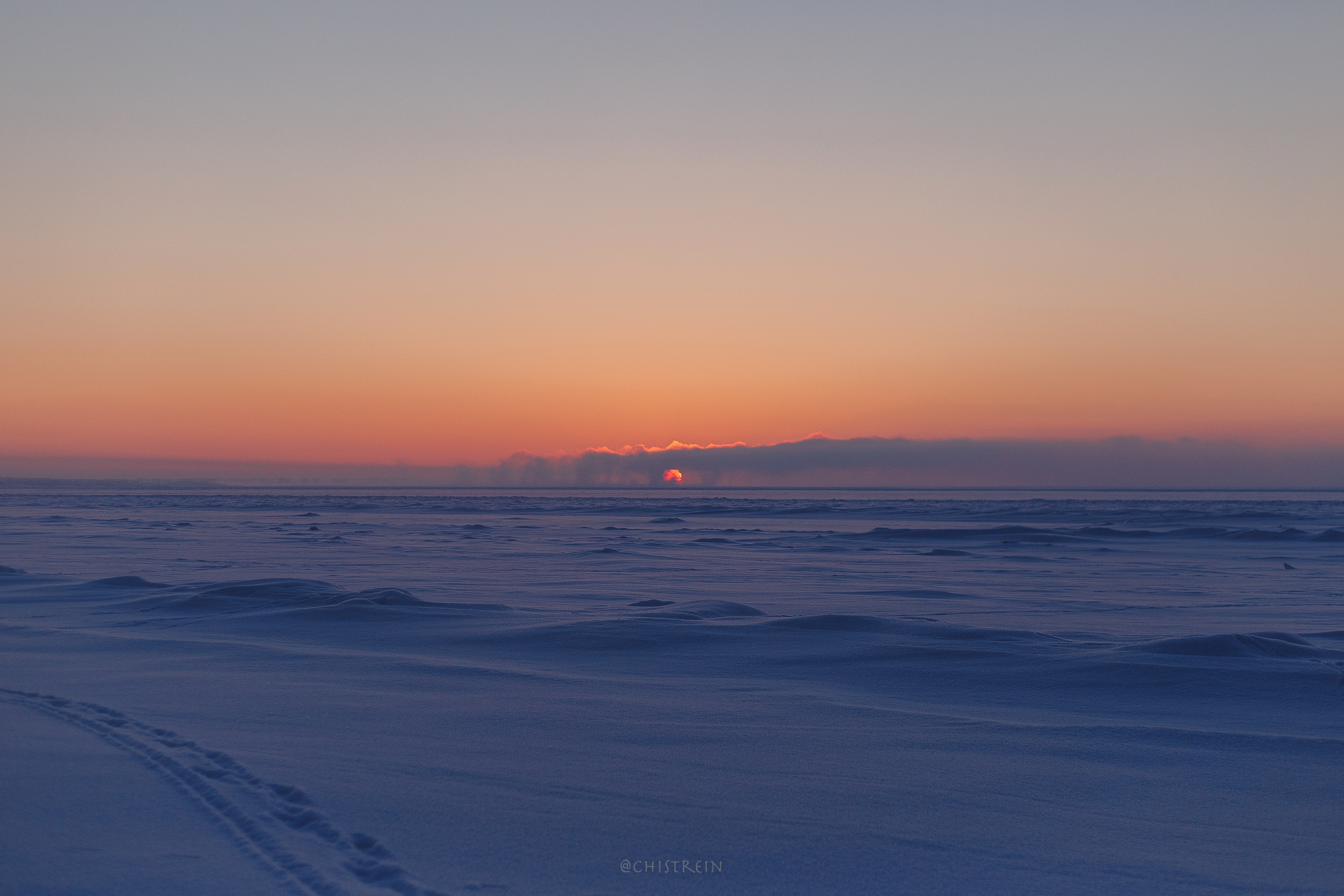 Модя. Закат на Финском заливе. Фотограф-анималист Наталия Чистюхина в г. Сосновый Бор и ЛО