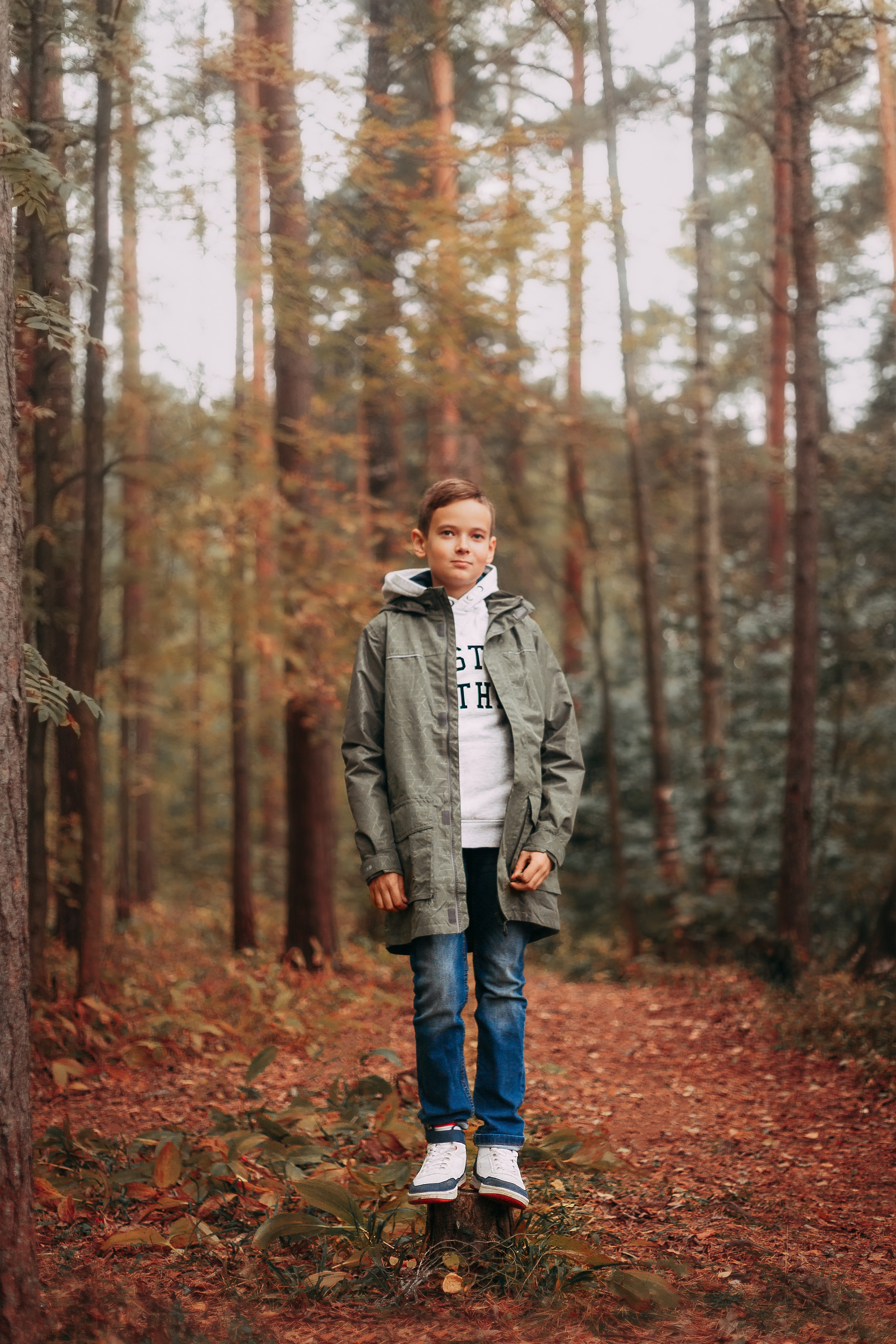 Осенний лес в Сосновом Бору. Фотограф-анималист Наталия Чистюхина в г. Сосновый Бор и ЛО