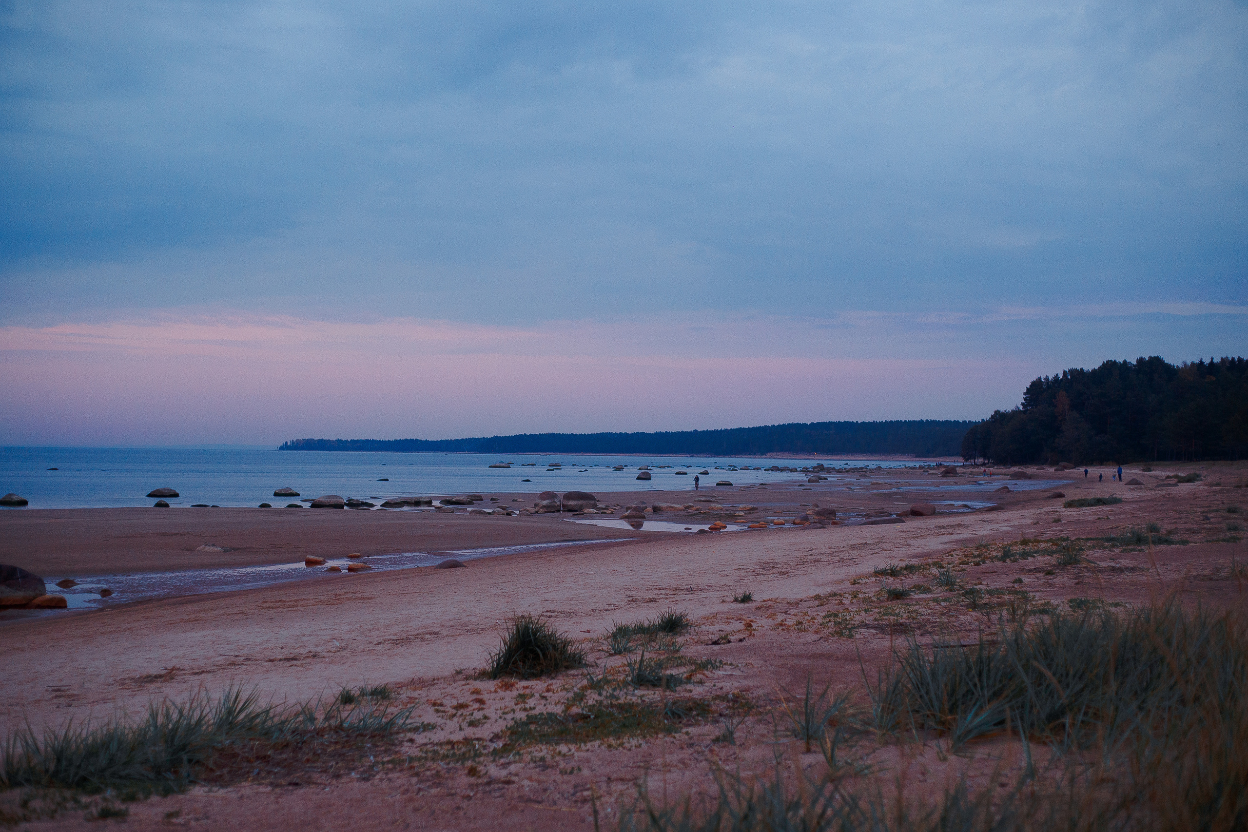 Закат на Финском заливе. Фотограф-анималист Наталия Чистюхина в г. Сосновый Бор и ЛО