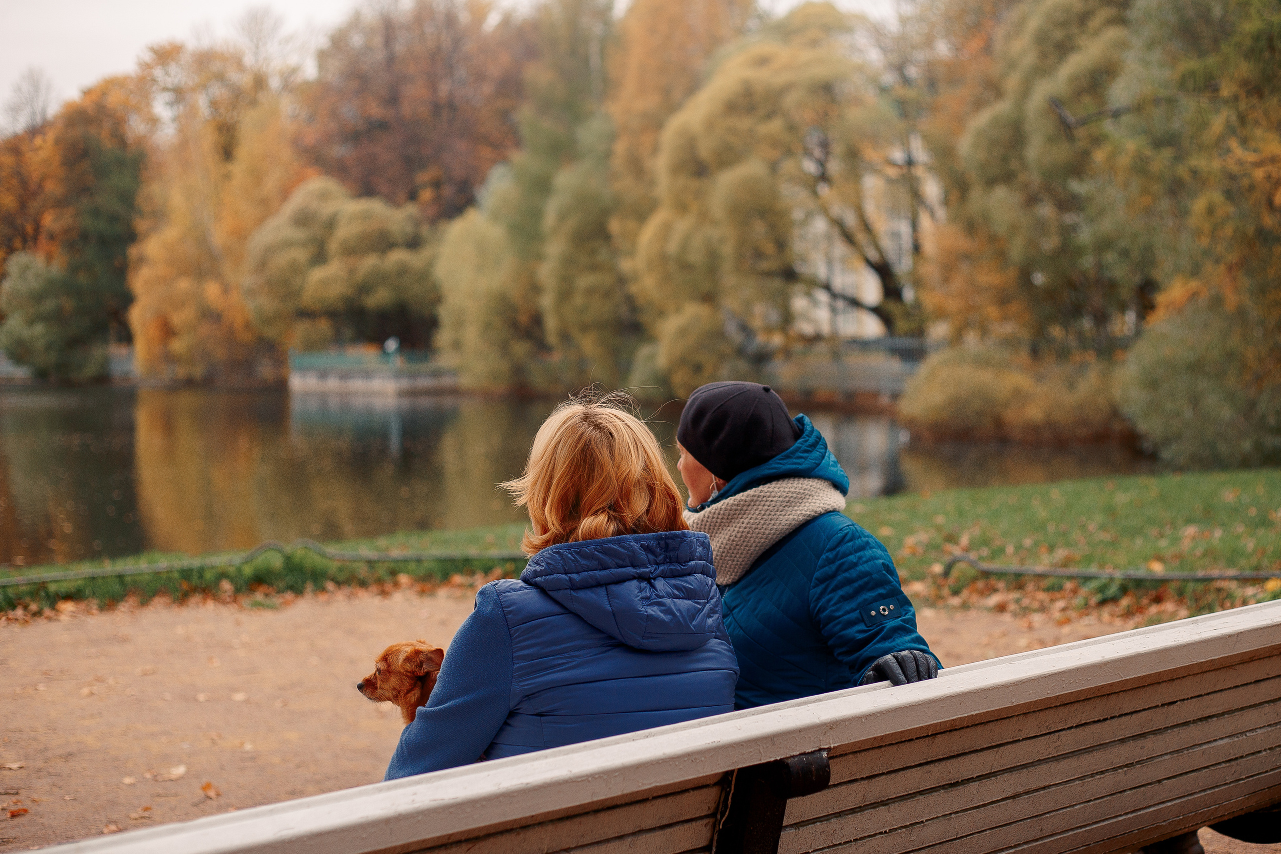 Таврический сад осенью. Фотограф-анималист Наталия Чистюхина в г. Сосновый Бор и ЛО
