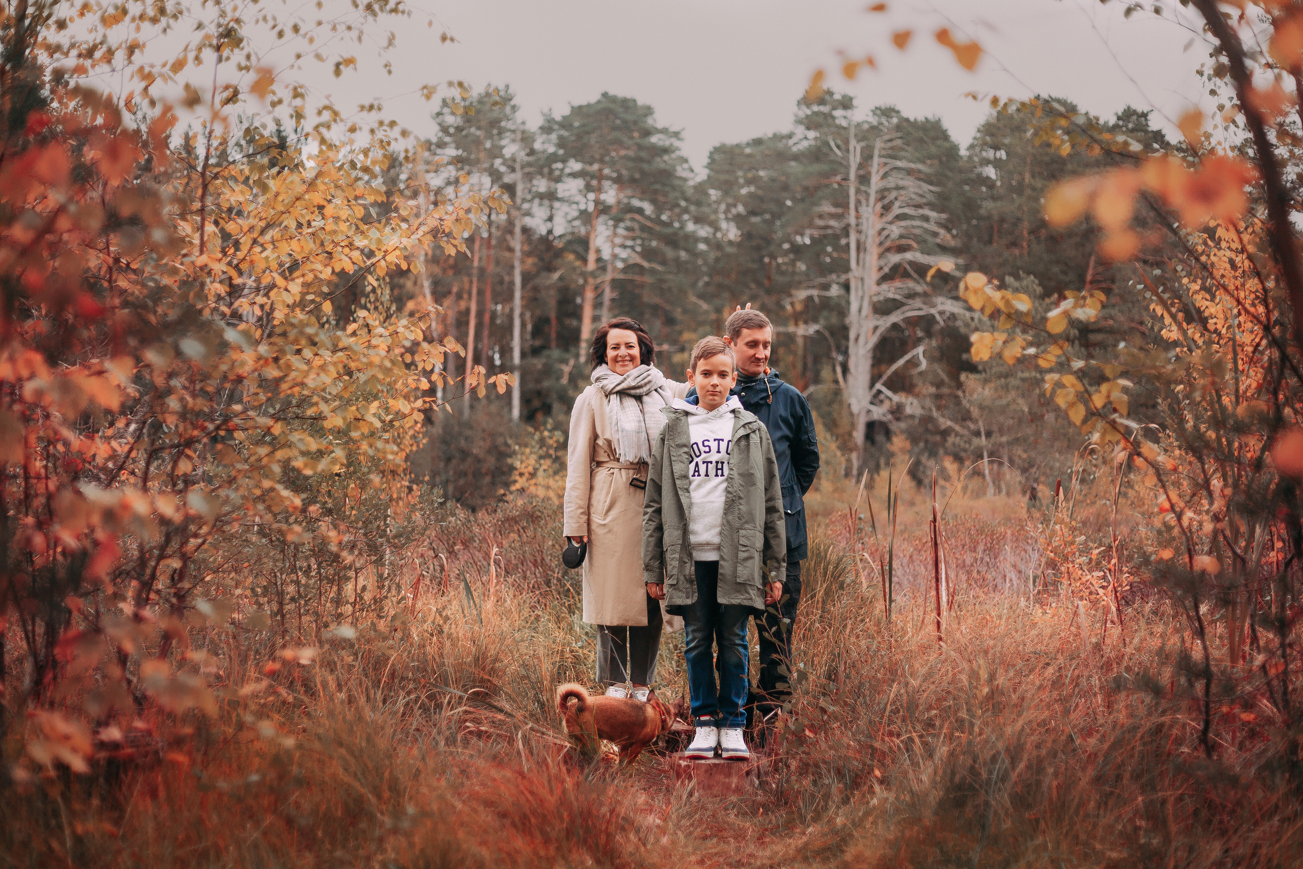 Осенний лес в Сосновом Бору. Фотограф-анималист Наталия Чистюхина в г. Сосновый Бор и ЛО