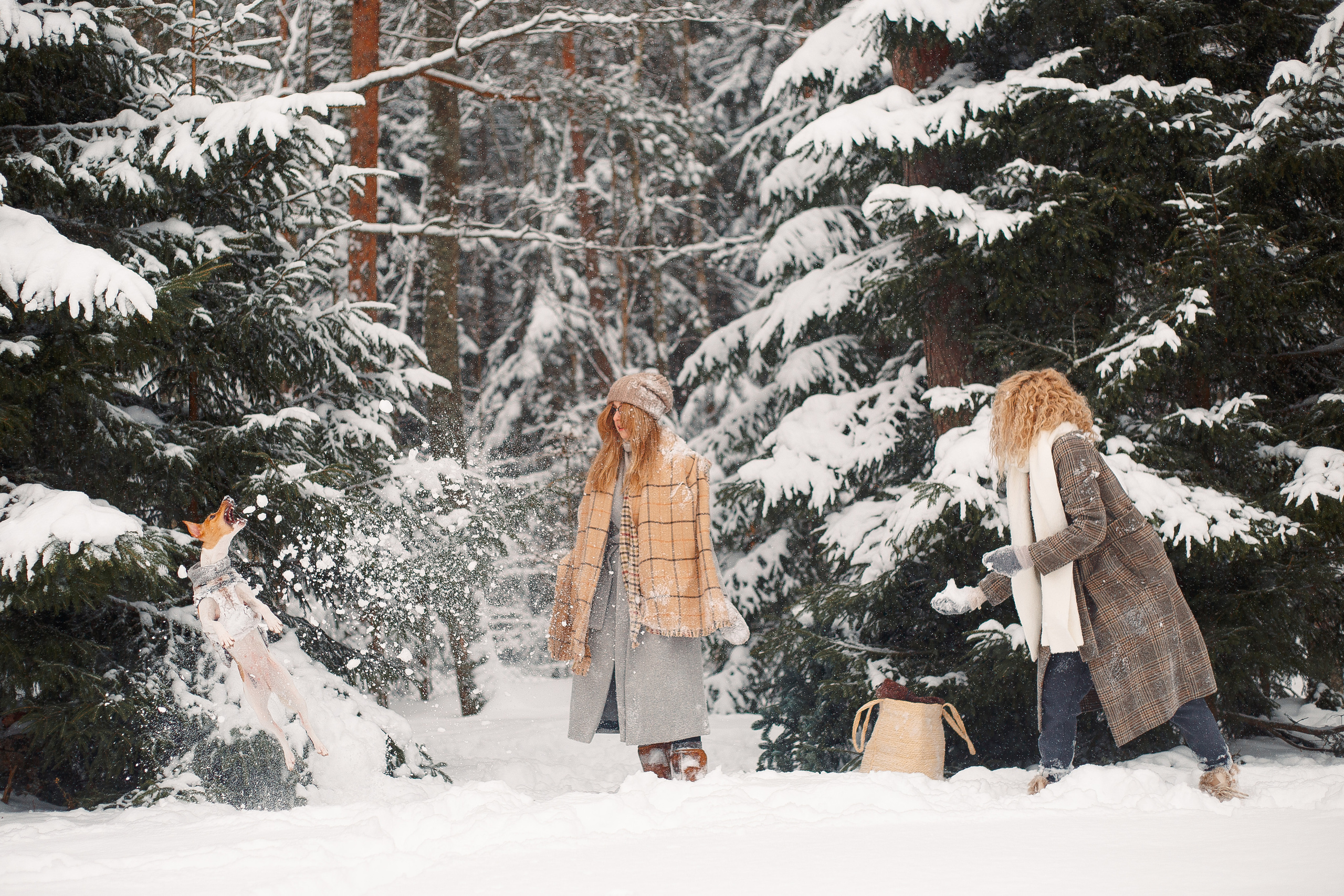 Дана, Варя, Анфиса и Миша в Ручьях. Фотограф-анималист Наталия Чистюхина в г. Сосновый Бор и ЛО