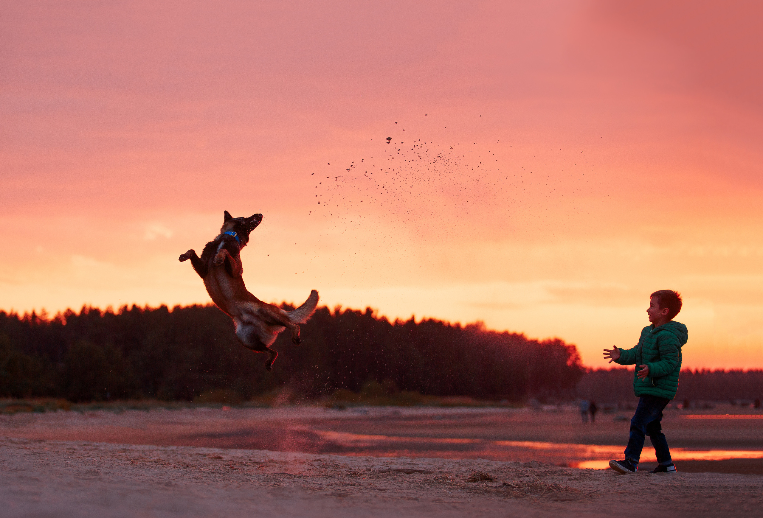 Закат на Финском заливе. Фотограф-анималист Наталия Чистюхина в г. Сосновый Бор и ЛО