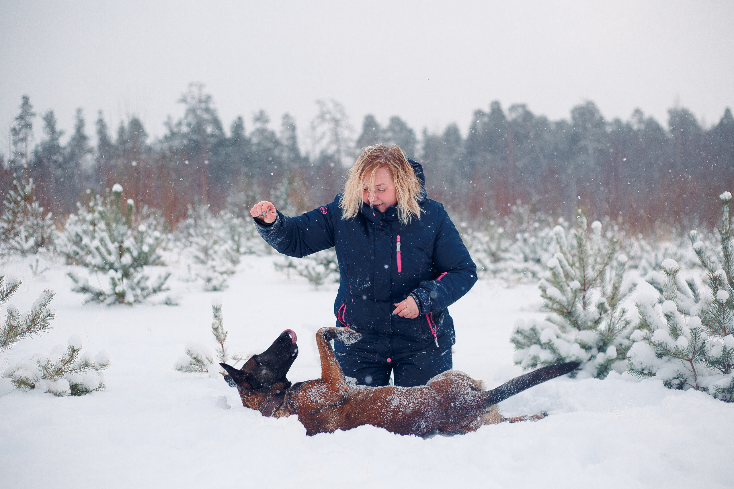 Зима и малинуа. Фотограф-анималист Наталия Чистюхина в г. Сосновый Бор и ЛО
