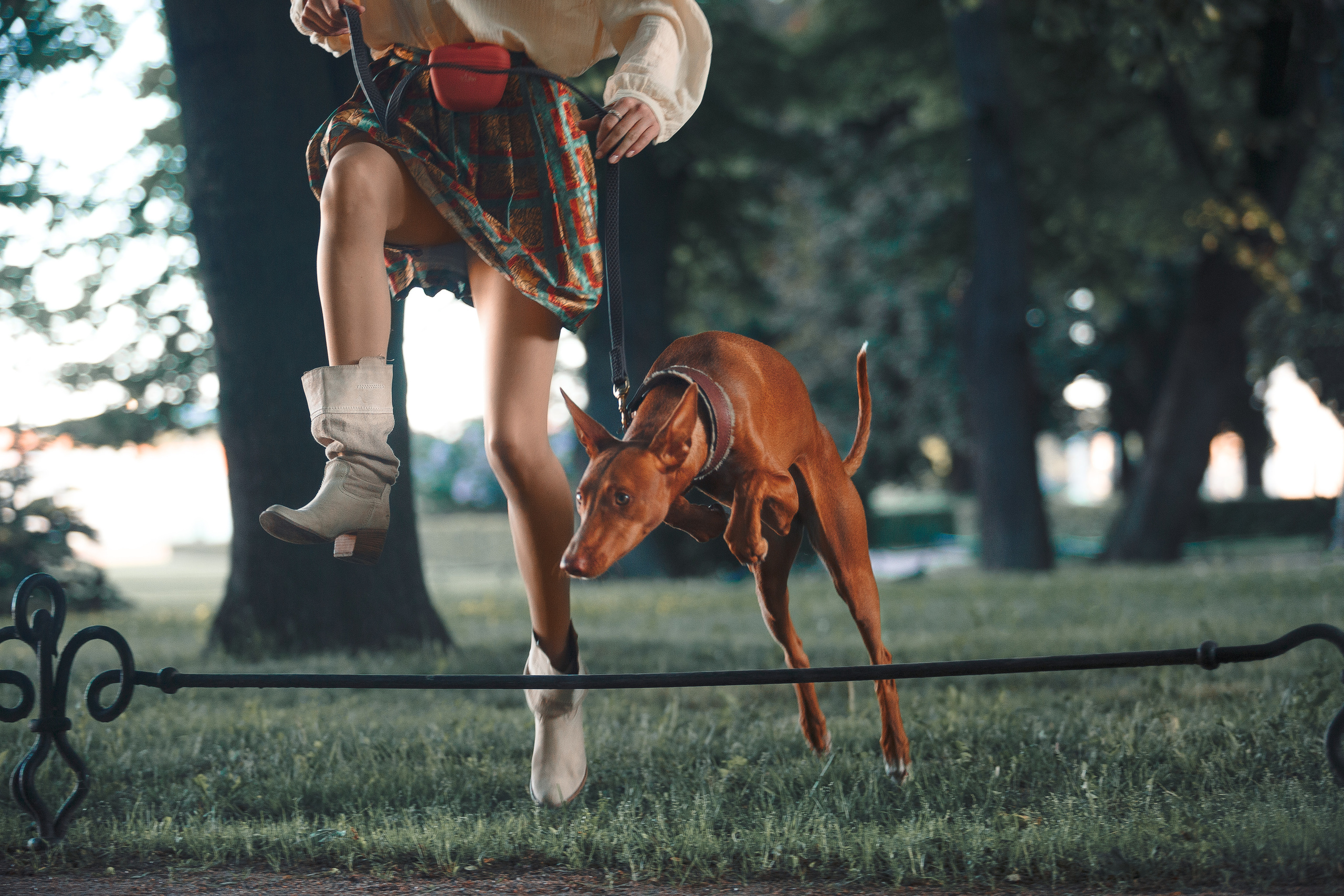 Оля и Шила в центре. Фотограф-анималист Наталия Чистюхина в г. Сосновый Бор и ЛО
