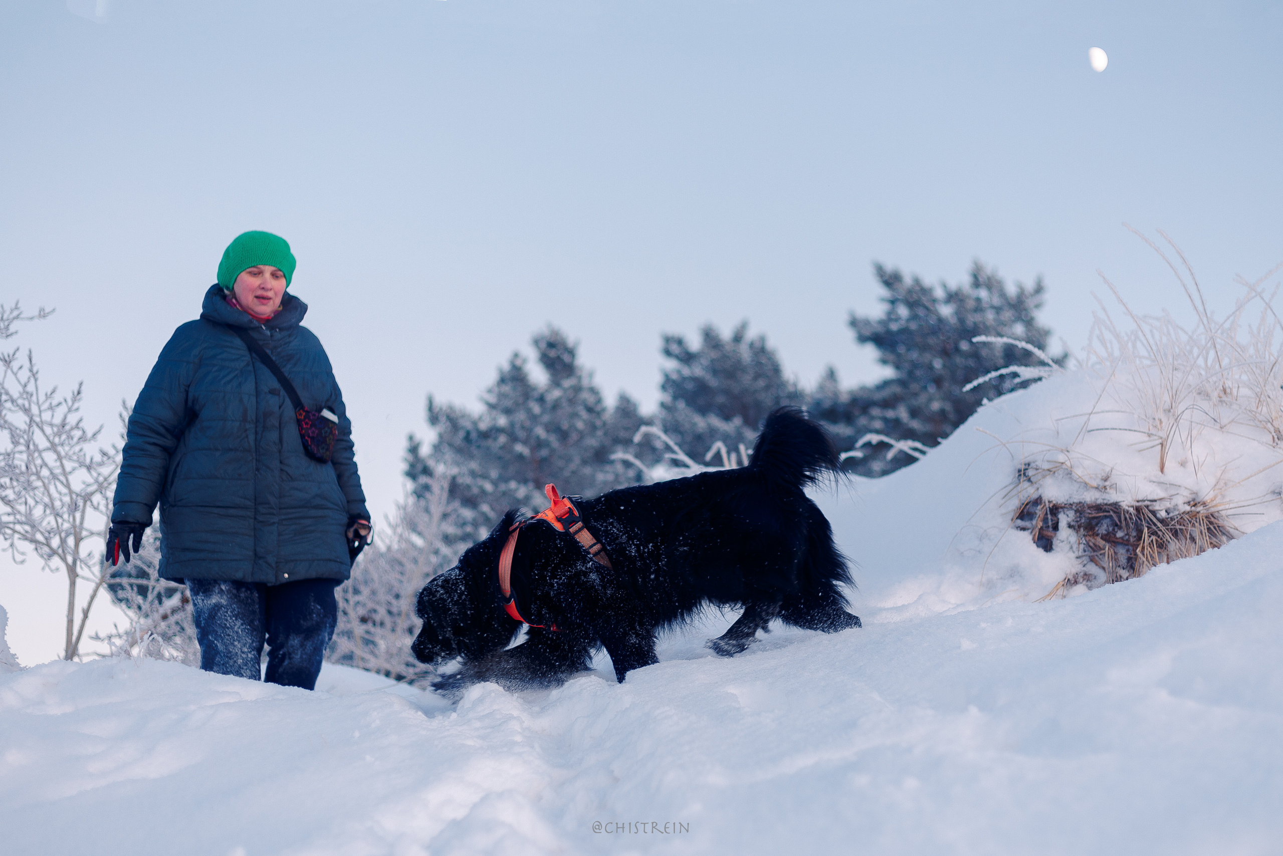 Модя. Закат на Финском заливе. Фотограф-анималист Наталия Чистюхина в г. Сосновый Бор и ЛО