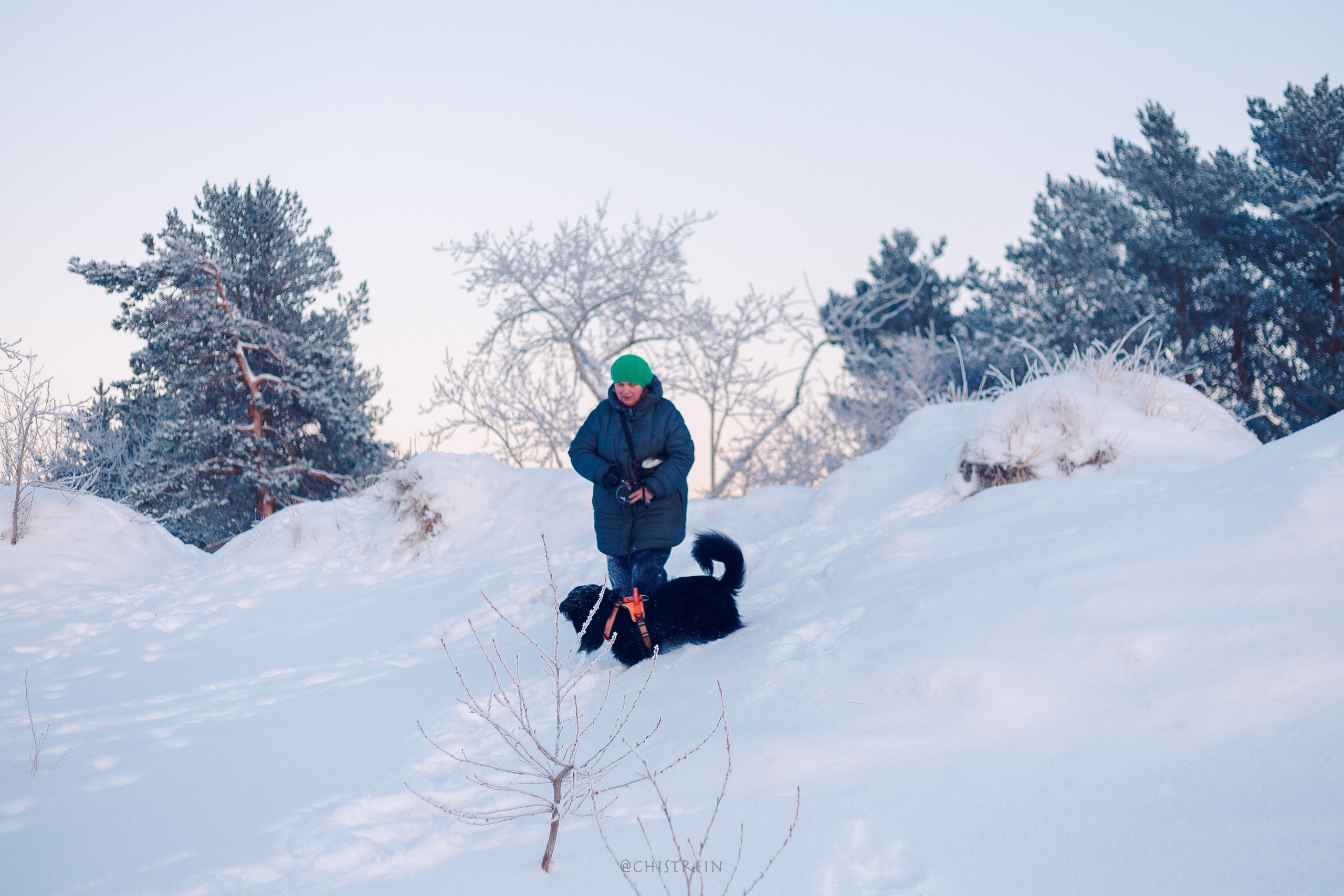 Модя. Закат на Финском заливе. Фотограф-анималист Наталия Чистюхина в г. Сосновый Бор и ЛО