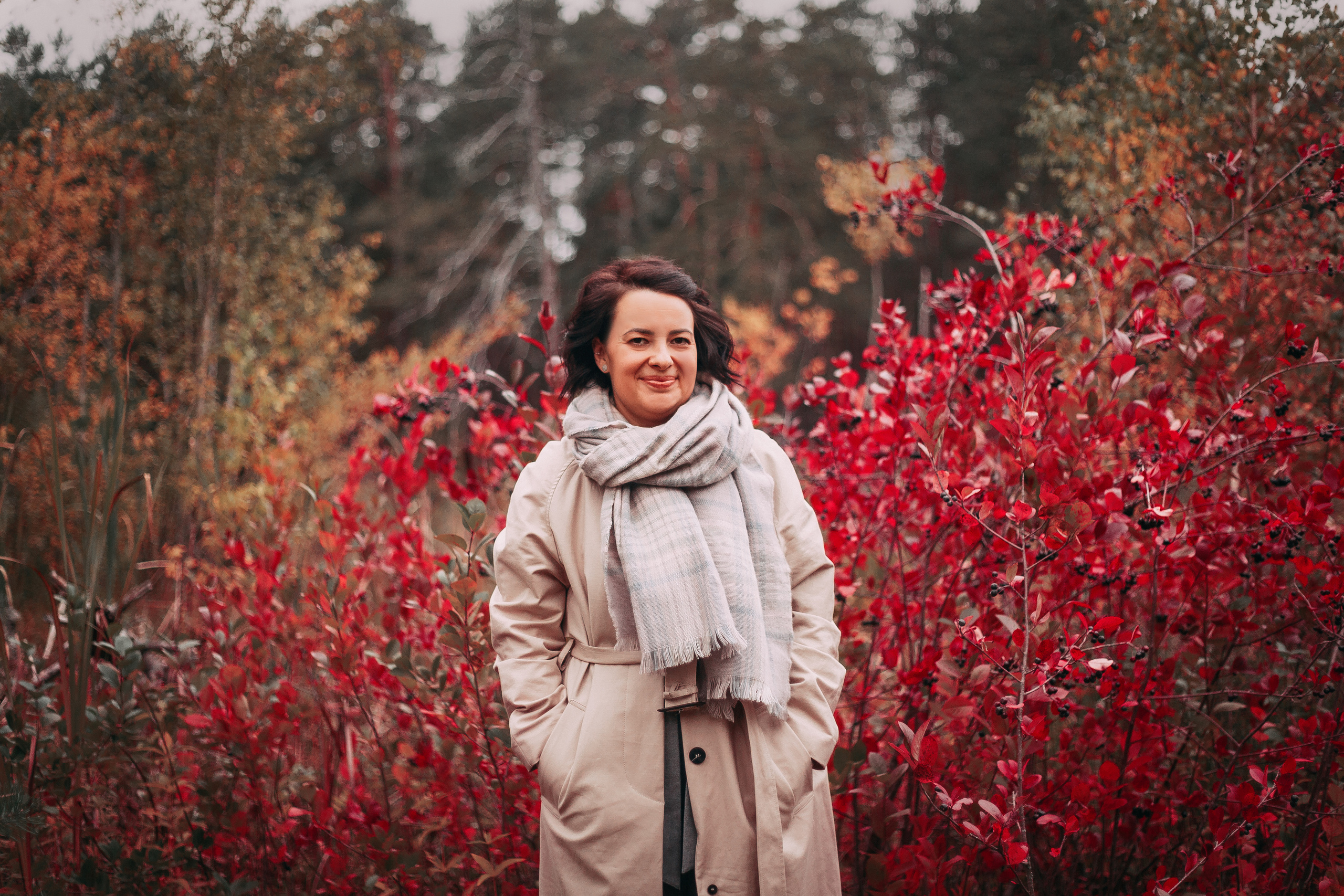 Осенний лес в Сосновом Бору. Фотограф-анималист Наталия Чистюхина в г. Сосновый Бор и ЛО