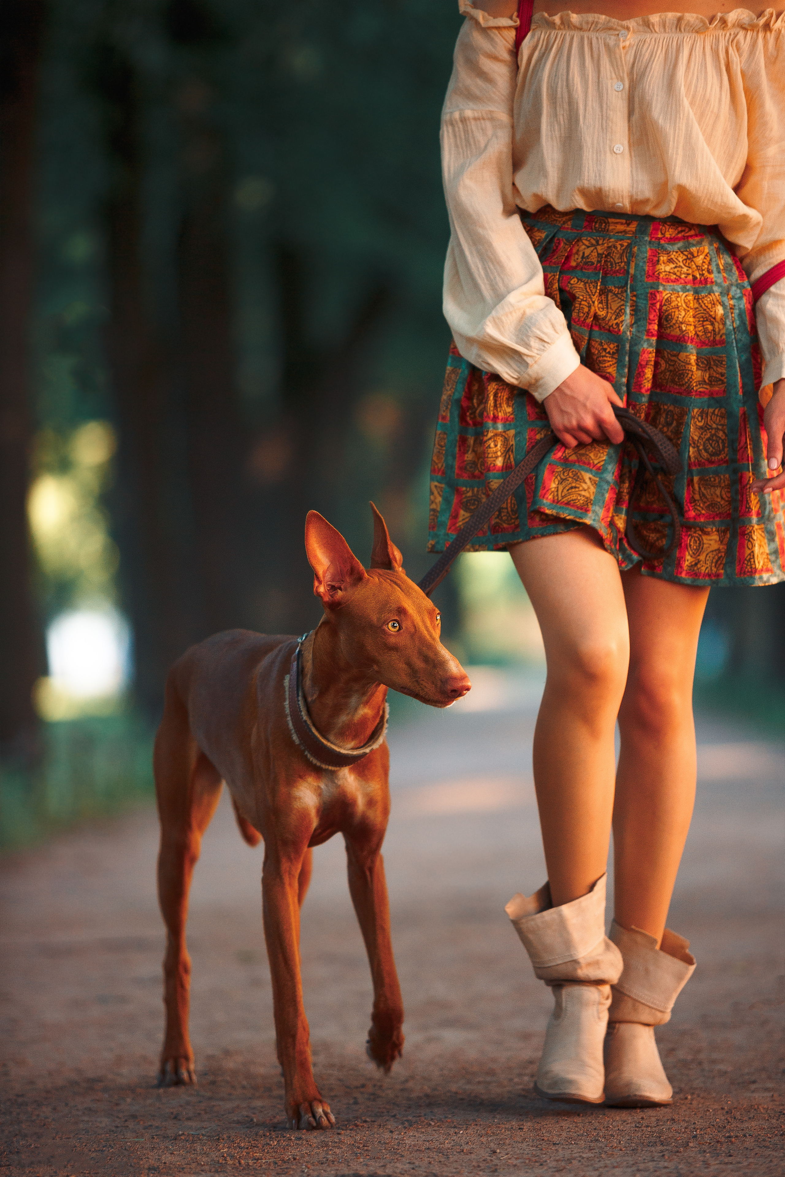 Оля и Шила в центре. Фотограф-анималист Наталия Чистюхина в г. Сосновый Бор и ЛО
