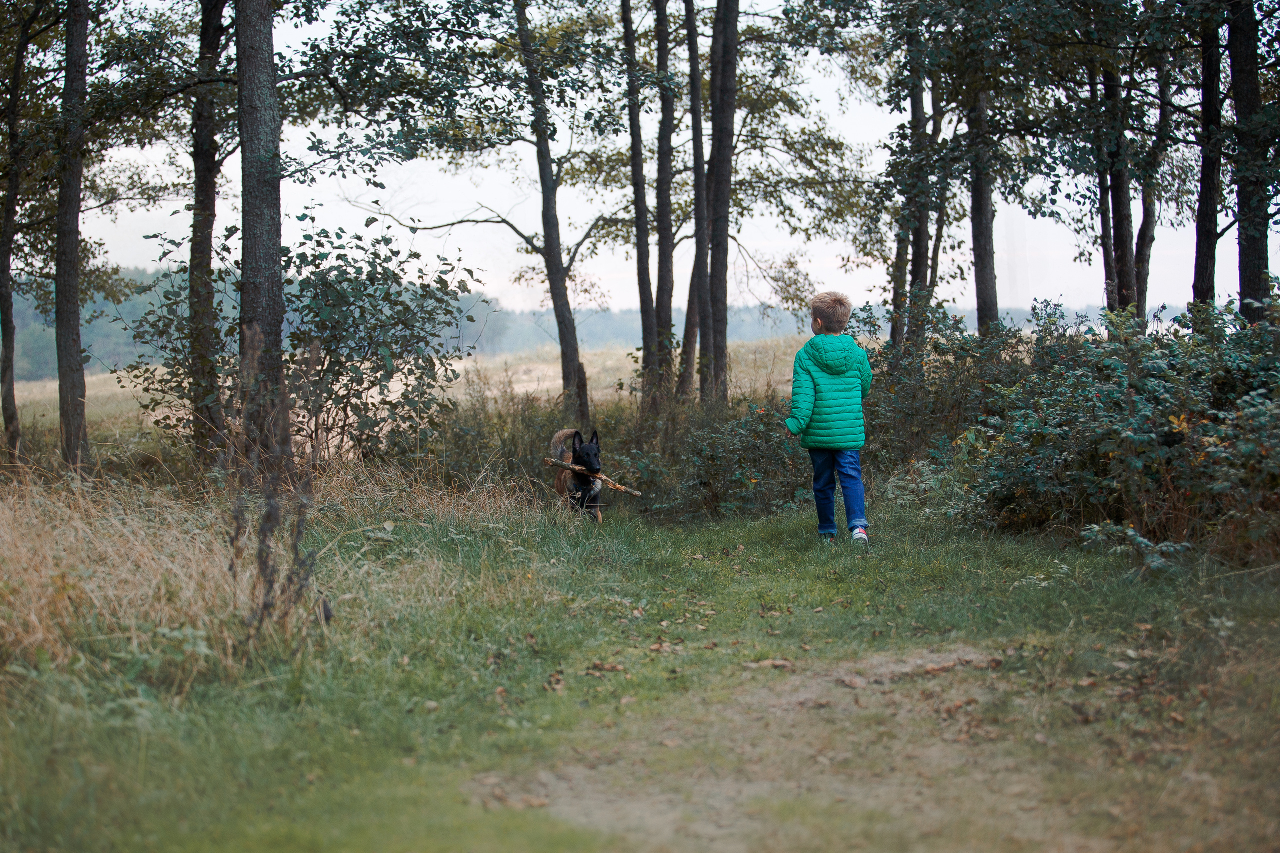 Закат на Финском заливе. Фотограф-анималист Наталия Чистюхина в г. Сосновый Бор и ЛО