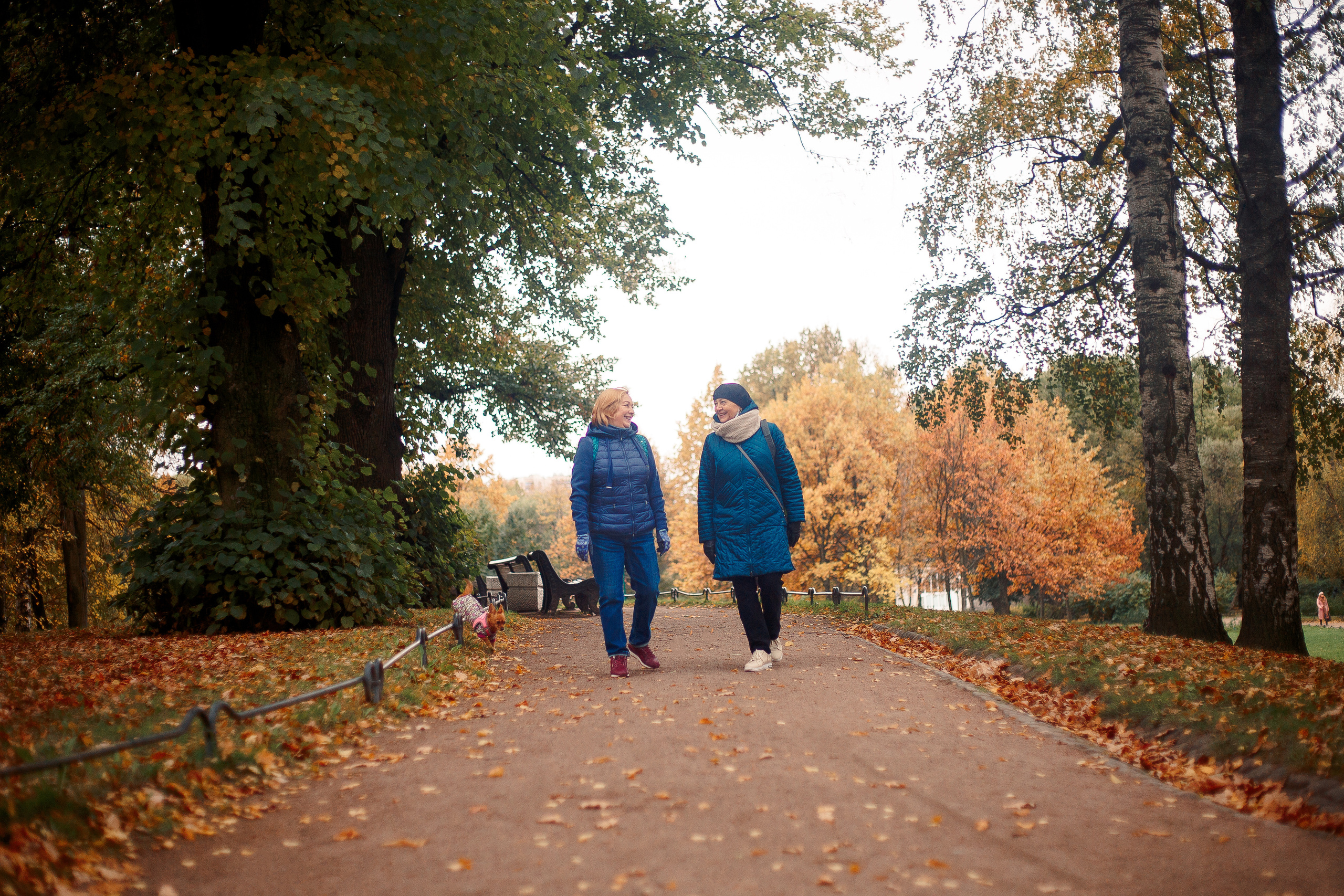 Таврический сад осенью. Фотограф-анималист Наталия Чистюхина в г. Сосновый Бор и ЛО