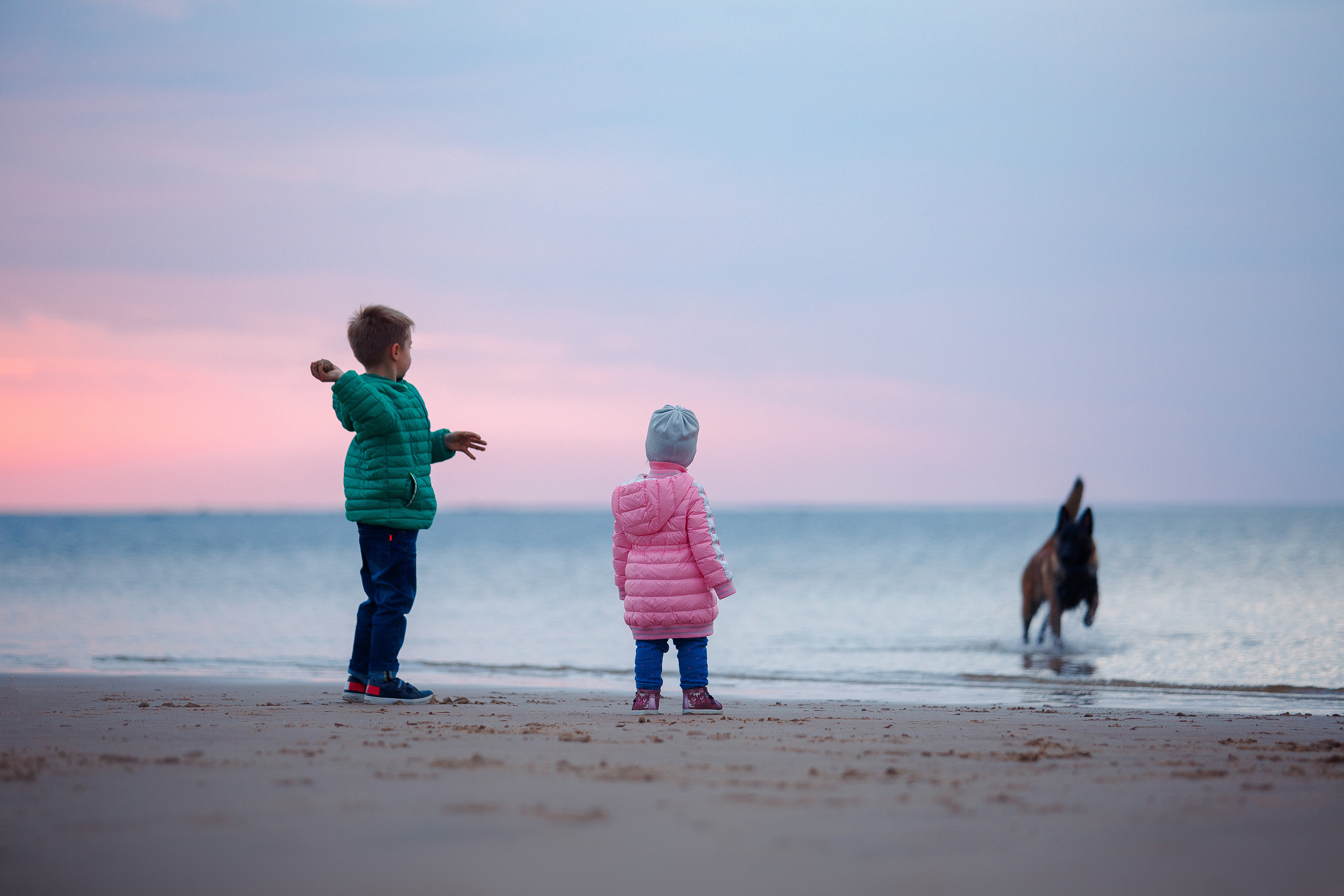 Закат на Финском заливе. Фотограф-анималист Наталия Чистюхина в г. Сосновый Бор и ЛО