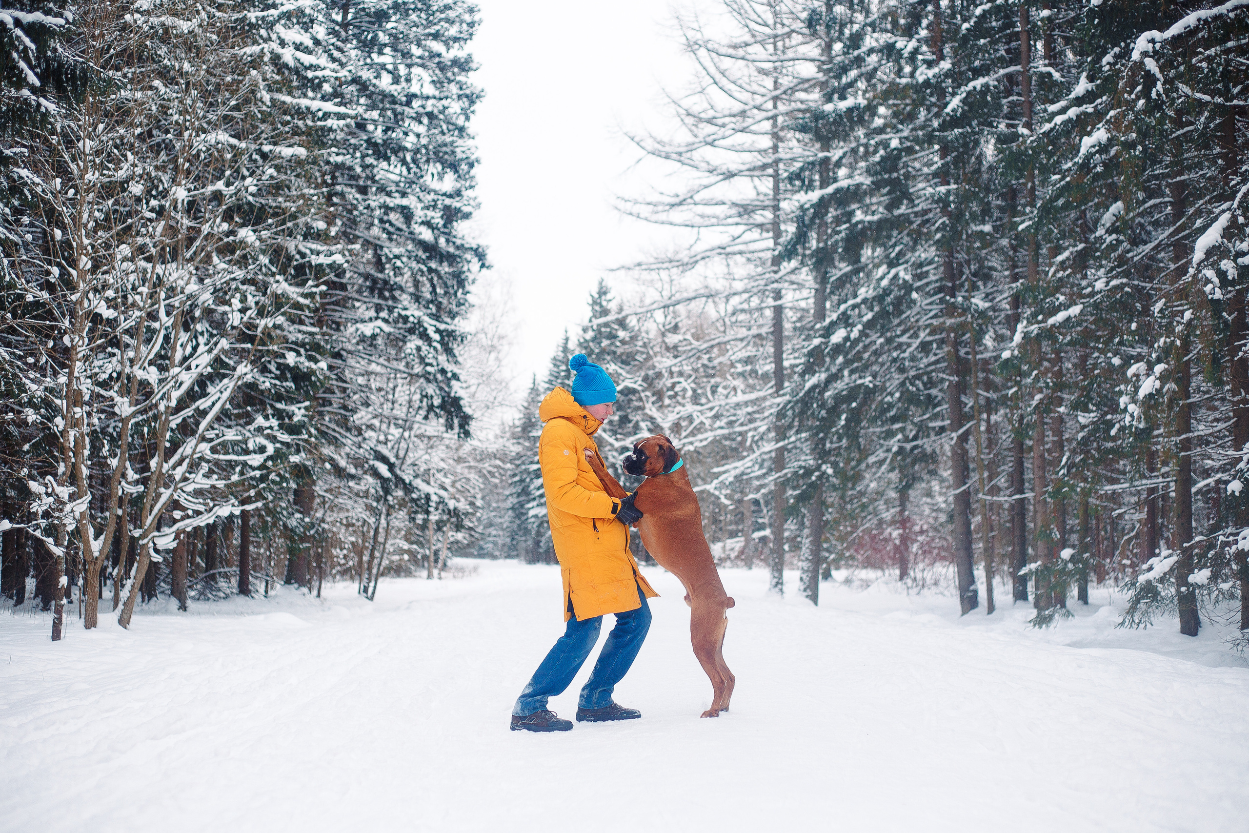 Алина, Саша и боксер Златан. Фотограф-анималист Наталия Чистюхина в г. Сосновый Бор и ЛО