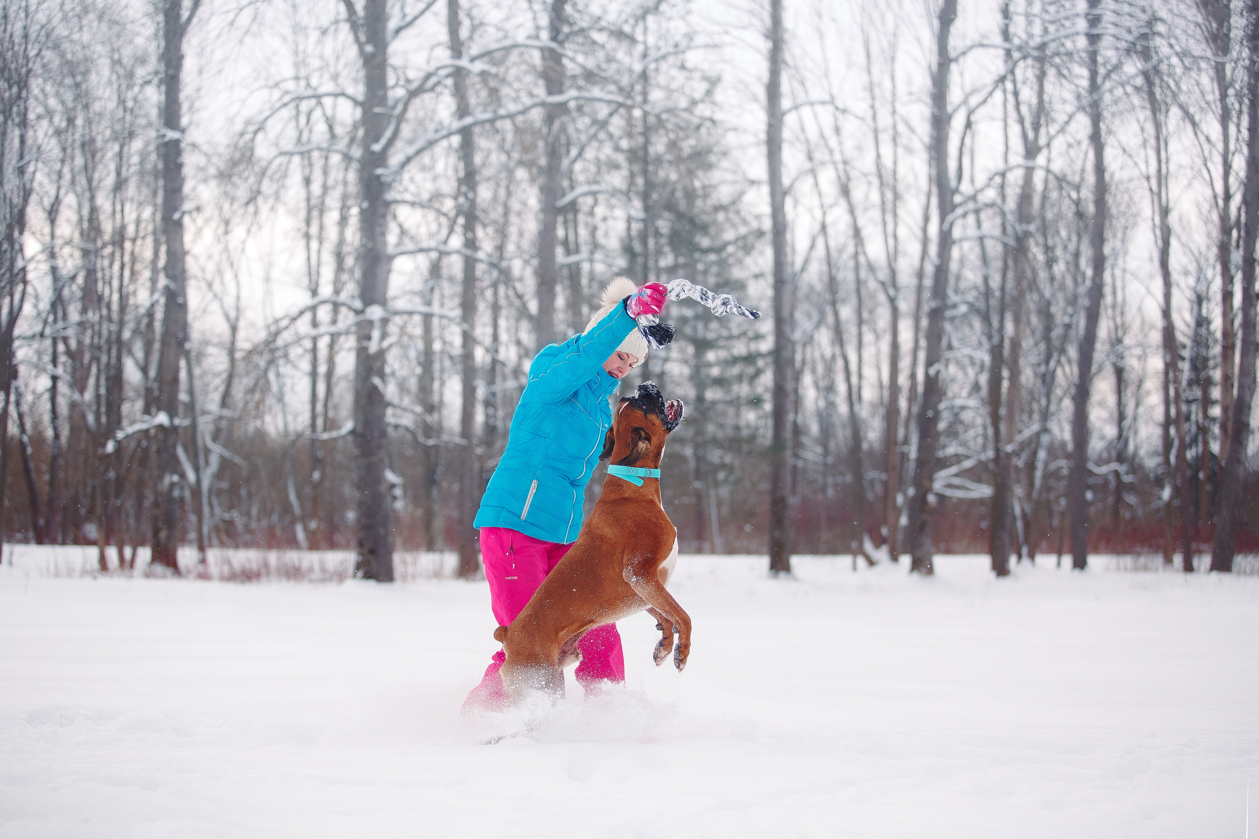 Алина, Саша и боксер Златан. Фотограф-анималист Наталия Чистюхина в г. Сосновый Бор и ЛО