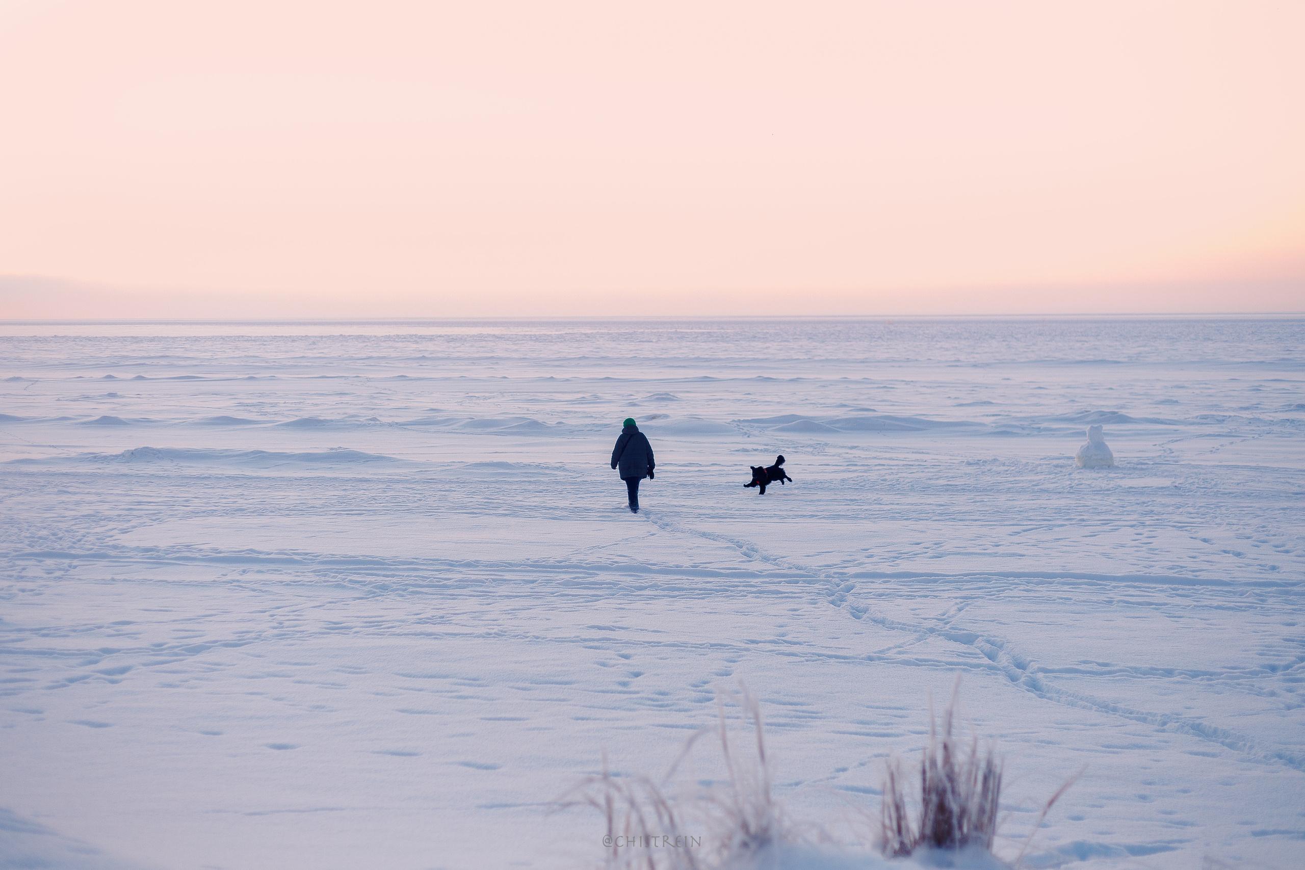 Модя. Закат на Финском заливе. Фотограф-анималист Наталия Чистюхина в г. Сосновый Бор и ЛО