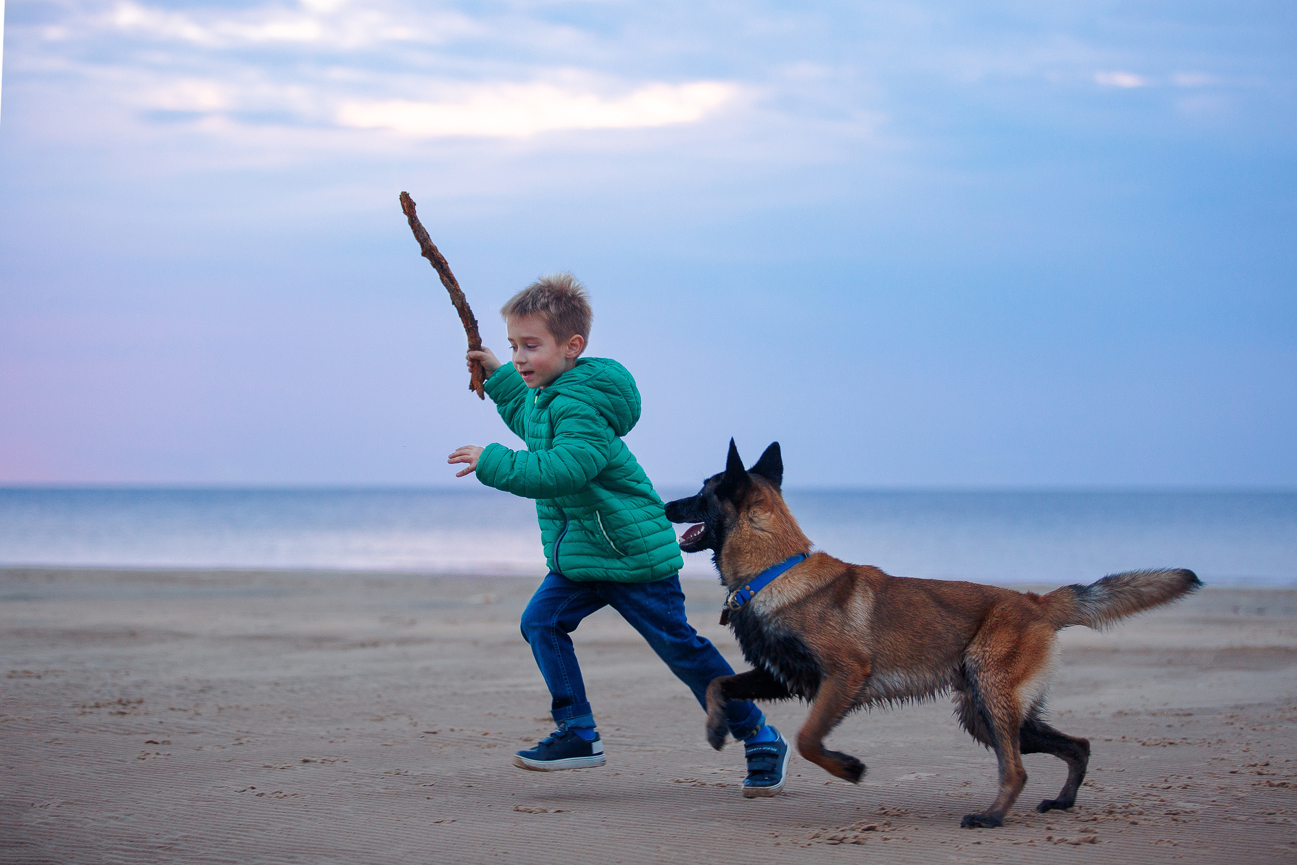 Закат на Финском заливе. Фотограф-анималист Наталия Чистюхина в г. Сосновый Бор и ЛО