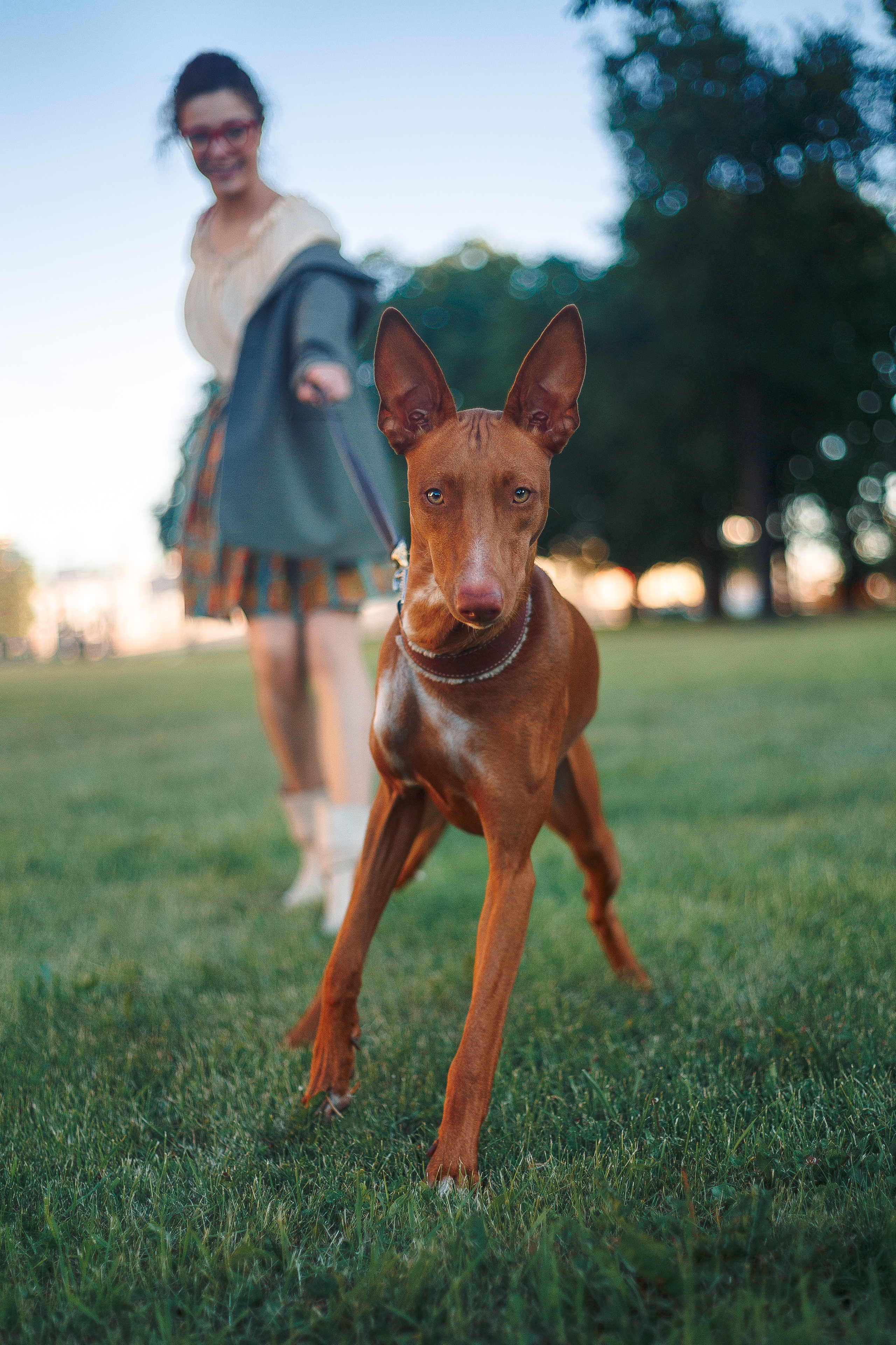 Оля и Шила в центре. Фотограф-анималист Наталия Чистюхина в г. Сосновый Бор и ЛО