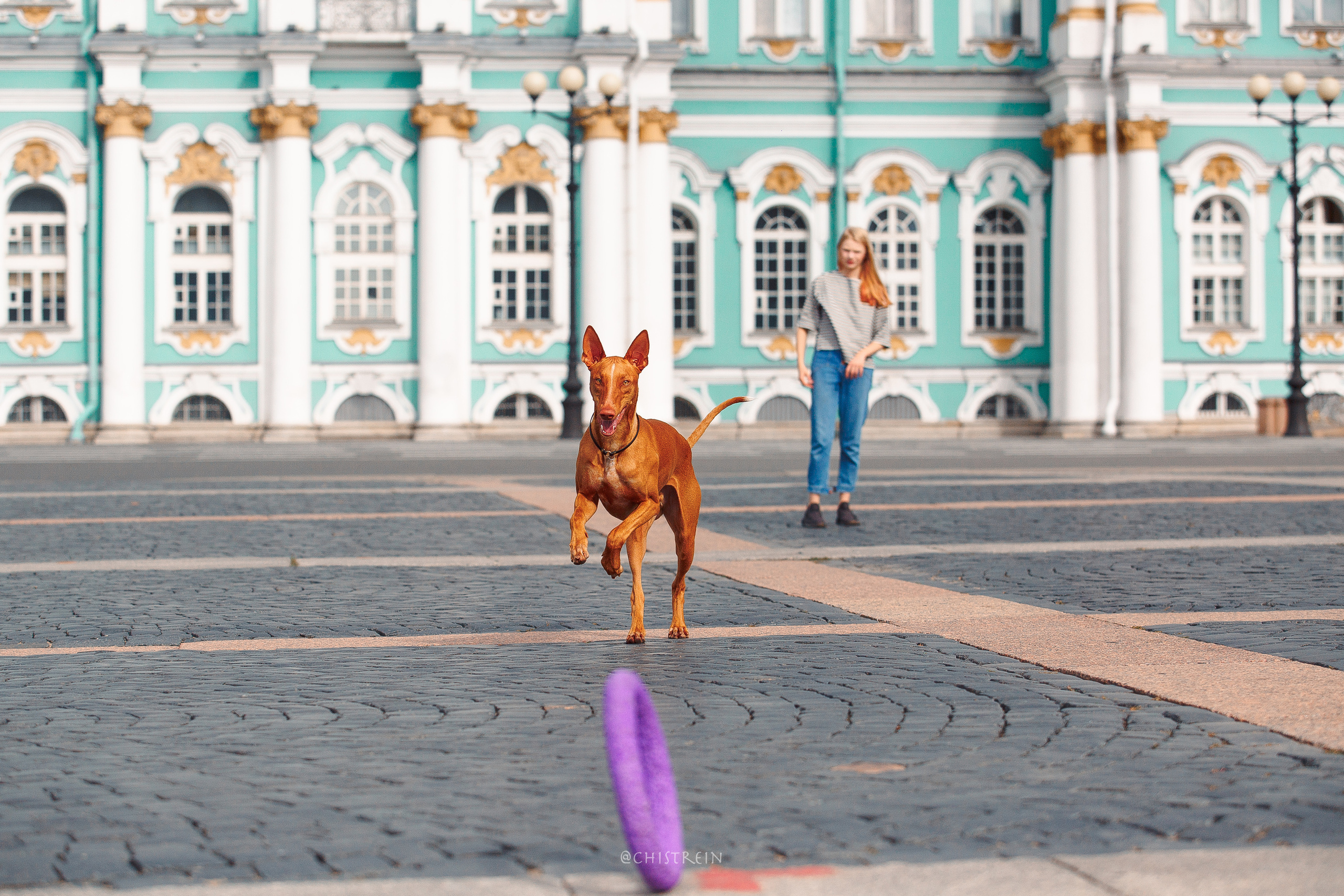 Арина и Гриффин в центре Питера. Фотограф-анималист Наталия Чистюхина в г. Сосновый Бор и ЛО