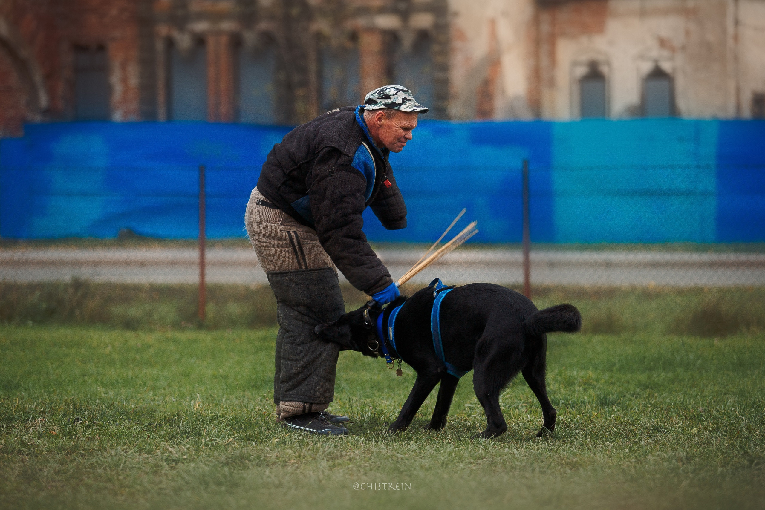 Мондьоринг в СПб. Фотограф-анималист Наталия Чистюхина в г. Сосновый Бор и ЛО