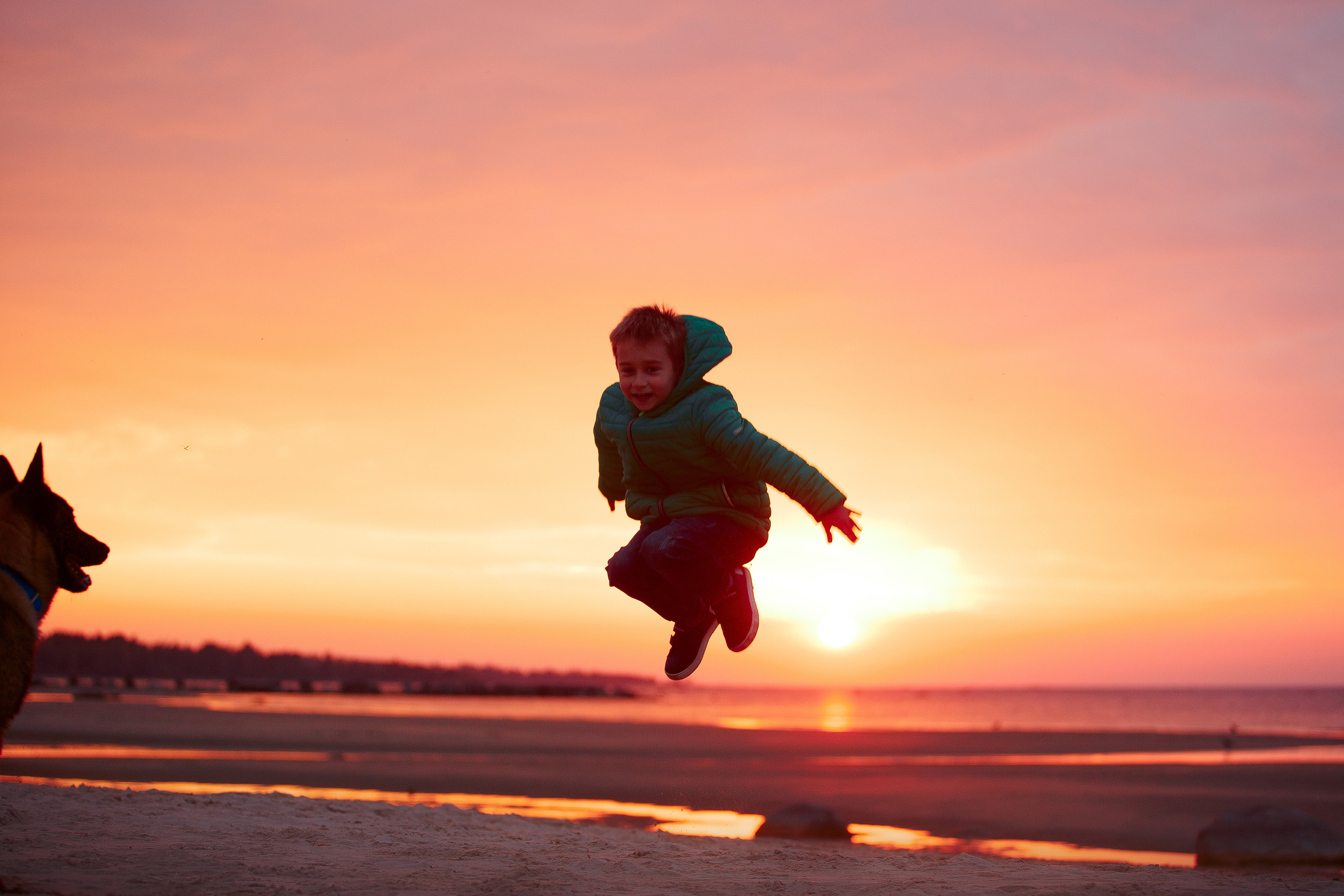 Закат на Финском заливе. Фотограф-анималист Наталия Чистюхина в г. Сосновый Бор и ЛО
