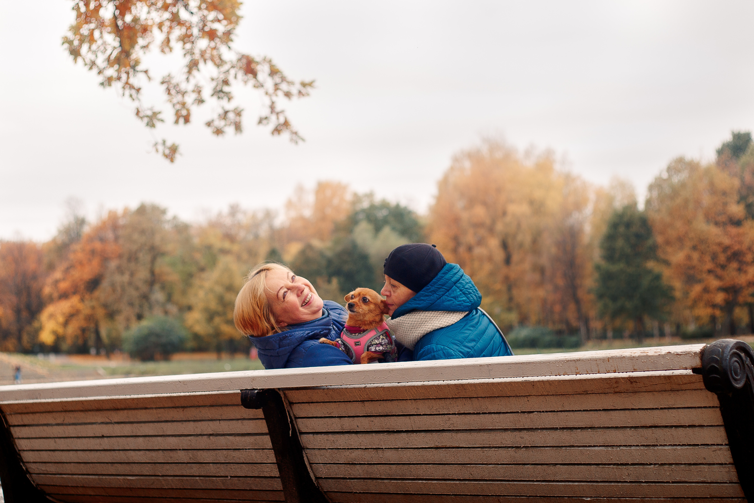Таврический сад осенью. Фотограф-анималист Наталия Чистюхина в г. Сосновый Бор и ЛО