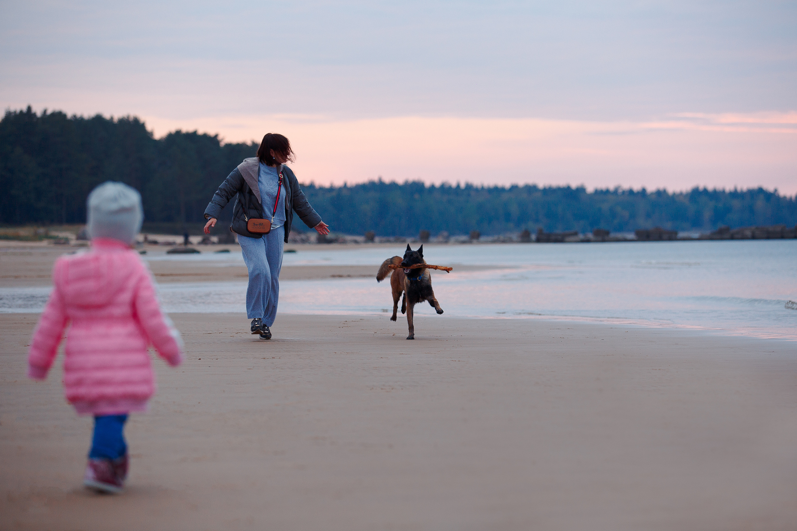 Закат на Финском заливе. Фотограф-анималист Наталия Чистюхина в г. Сосновый Бор и ЛО
