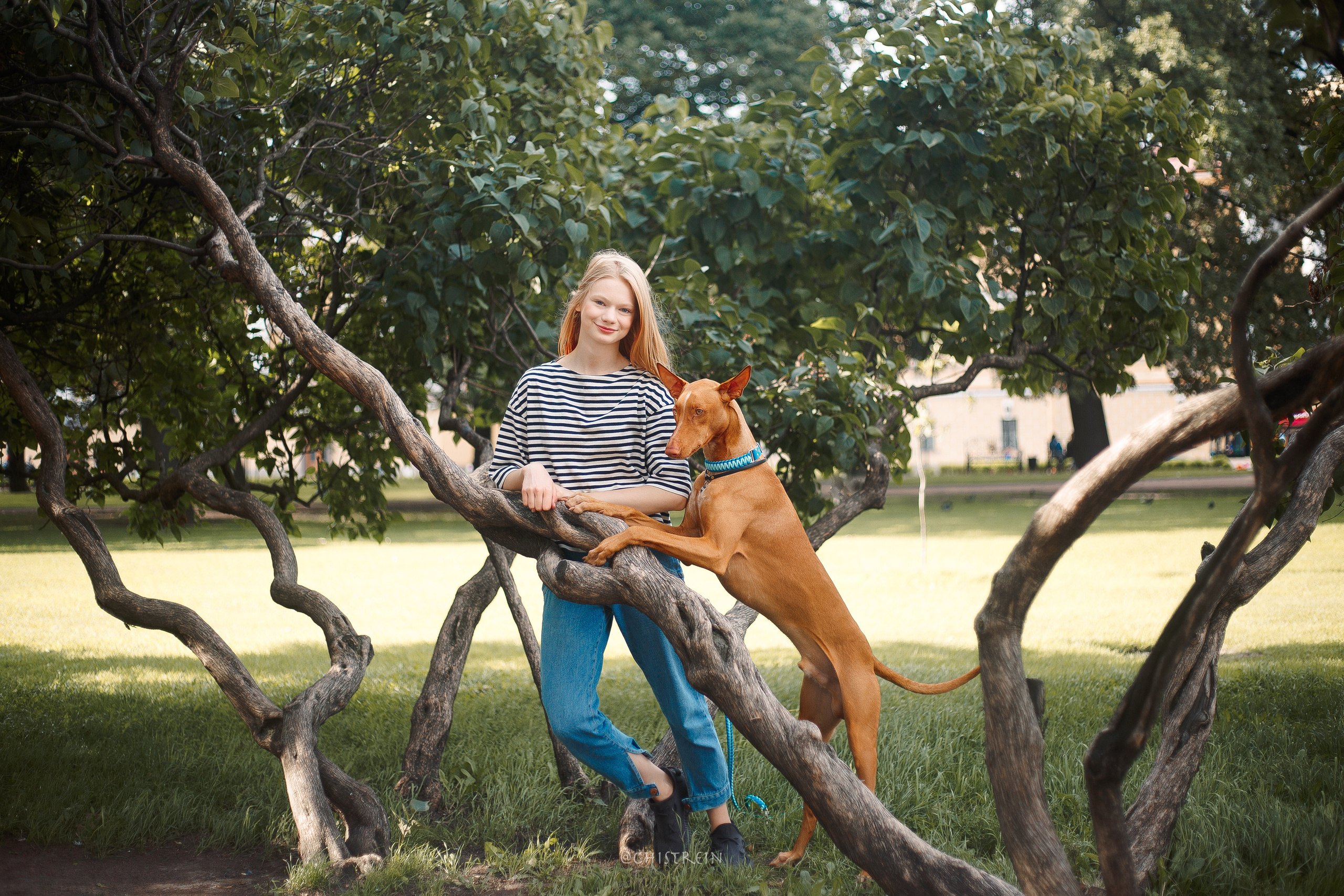 Арина и Гриффин в центре Питера. Фотограф-анималист Наталия Чистюхина в г. Сосновый Бор и ЛО
