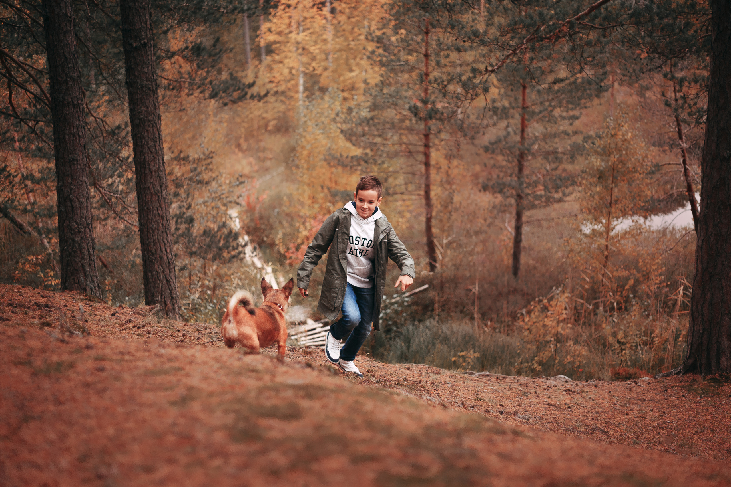 Осенний лес в Сосновом Бору. Фотограф-анималист Наталия Чистюхина в г. Сосновый Бор и ЛО