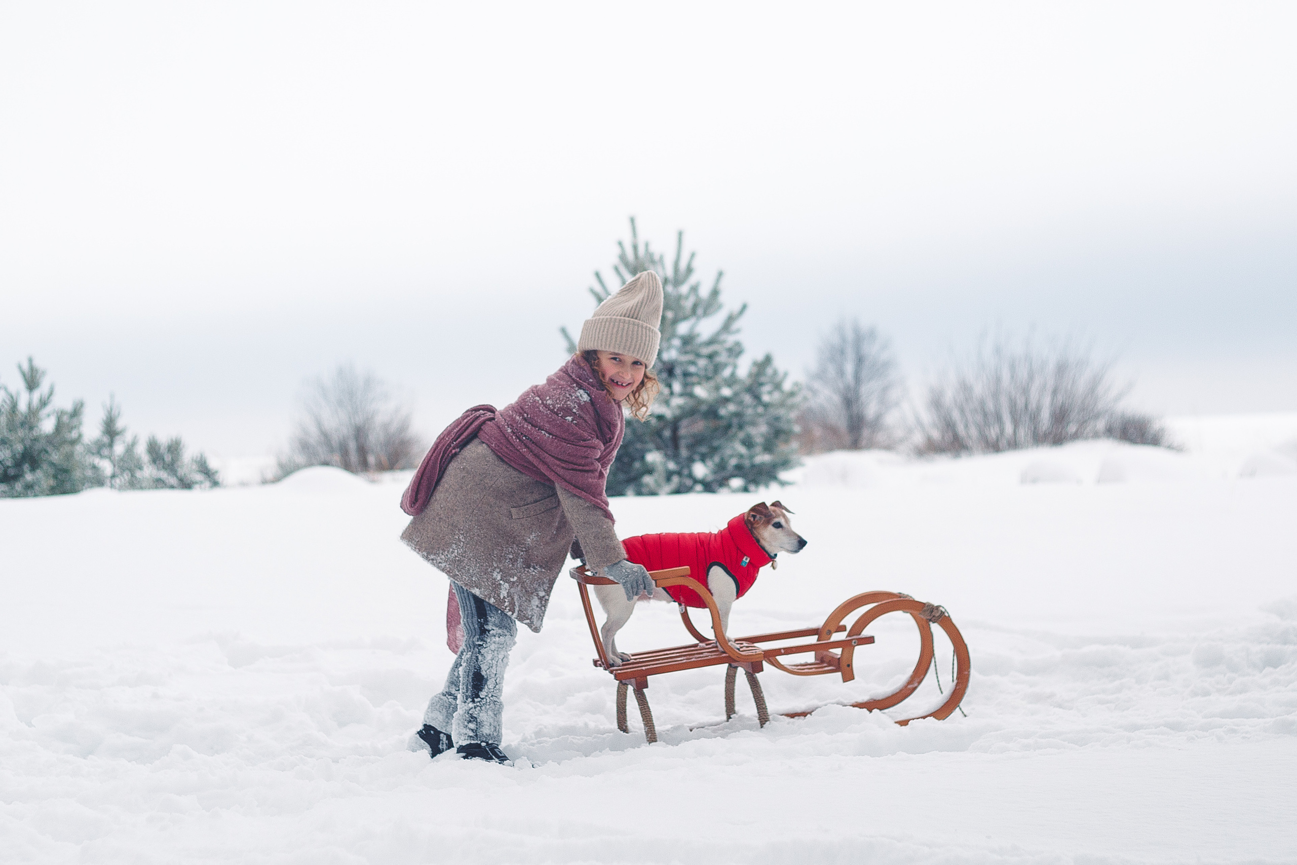 Дана, Варя, Анфиса и Миша в Ручьях. Фотограф-анималист Наталия Чистюхина в г. Сосновый Бор и ЛО