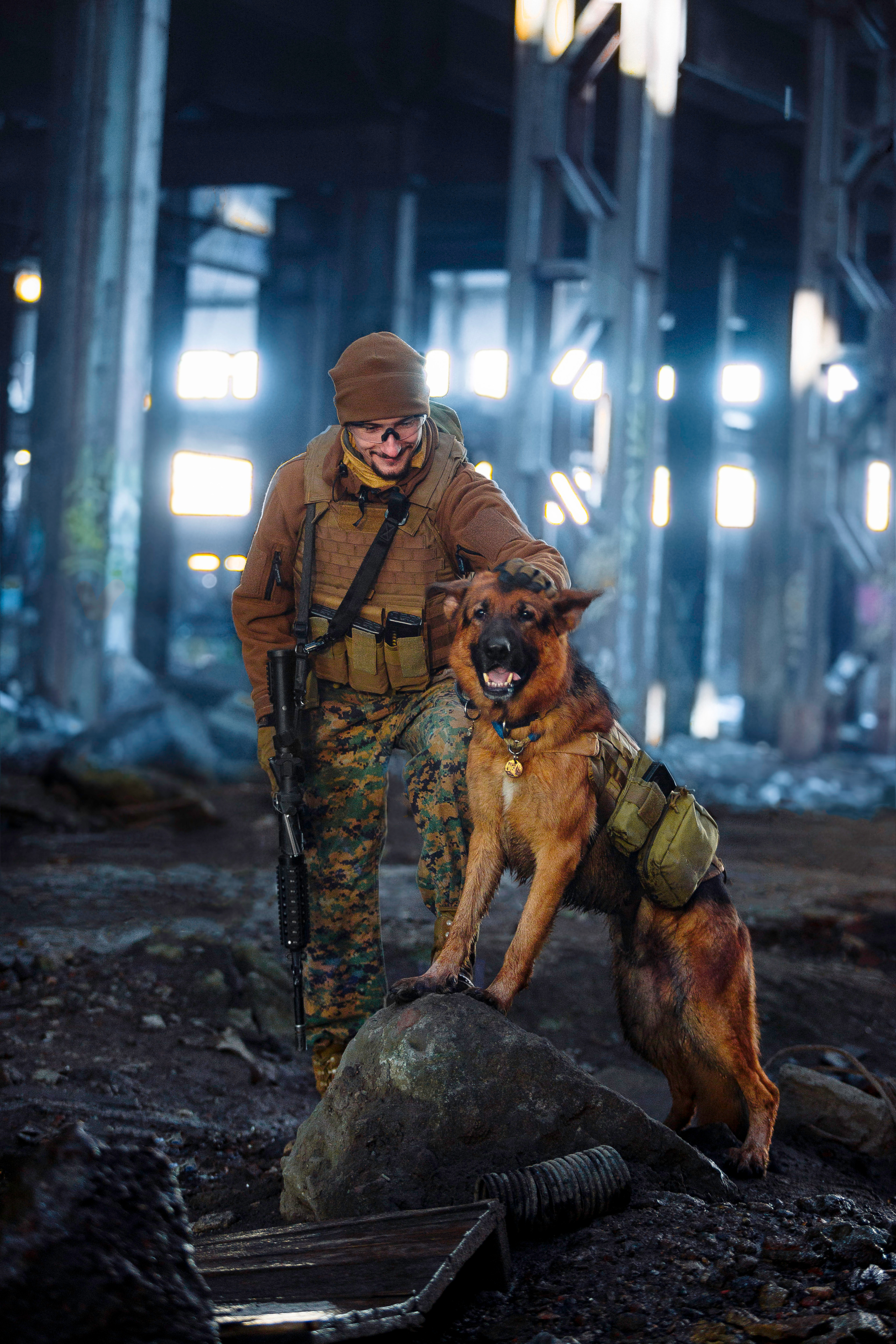 Боевая овчарка Рейн. Фотограф-анималист Наталия Чистюхина в г. Сосновый Бор и ЛО