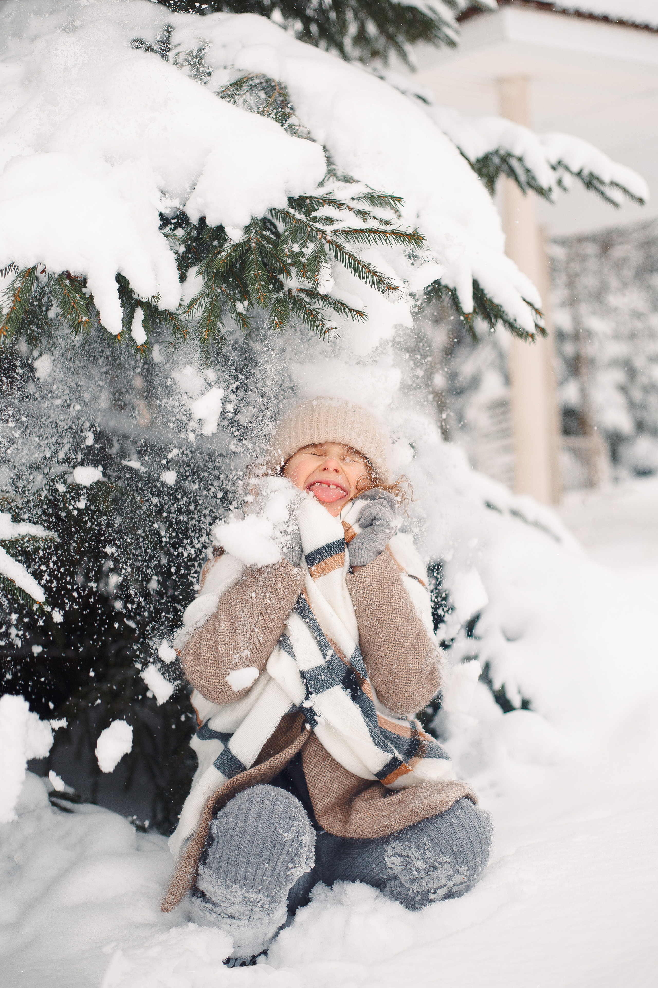Дана, Варя, Анфиса и Миша в Ручьях. Фотограф-анималист Наталия Чистюхина в г. Сосновый Бор и ЛО
