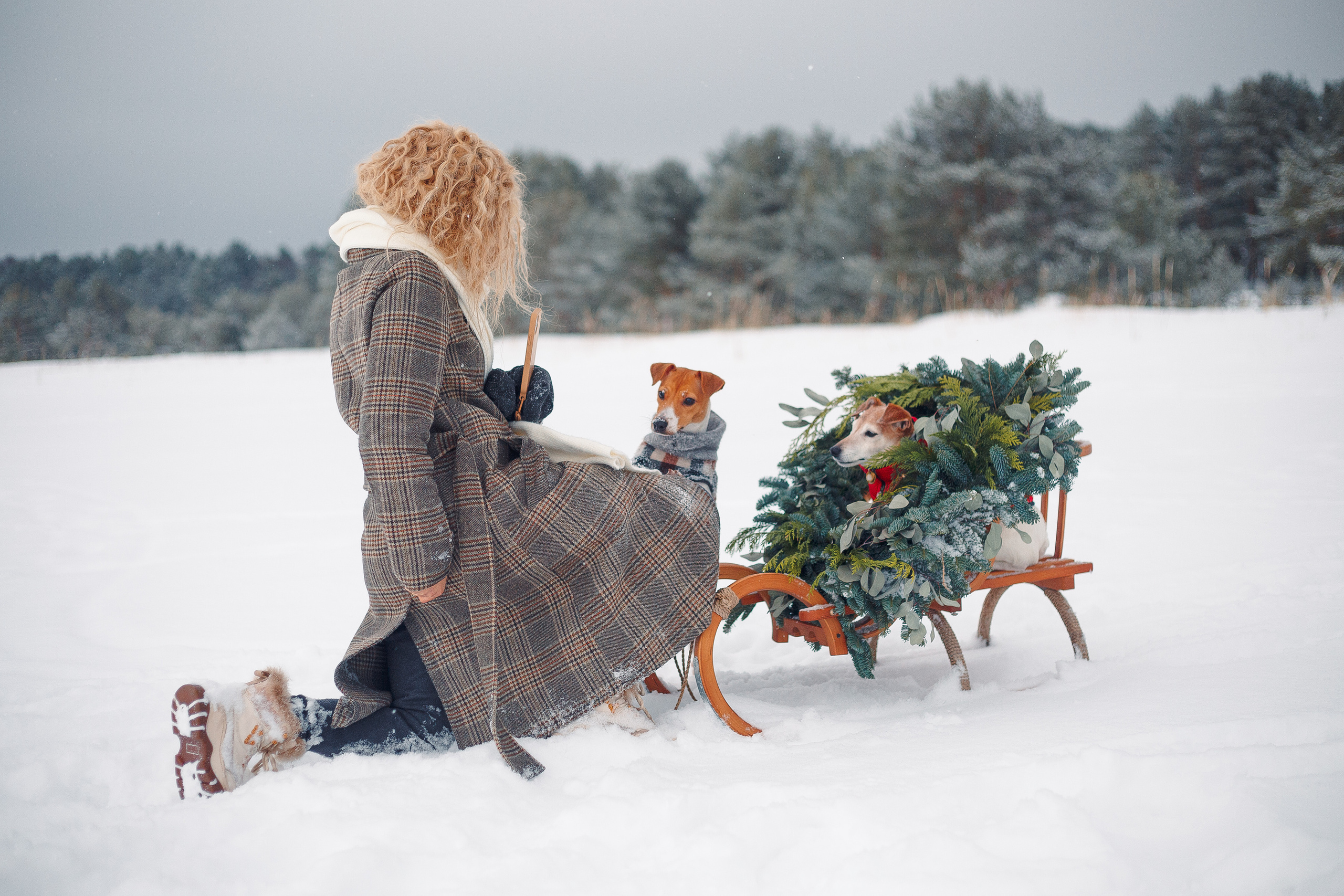 Дана, Варя, Анфиса и Миша в Ручьях. Фотограф-анималист Наталия Чистюхина в г. Сосновый Бор и ЛО