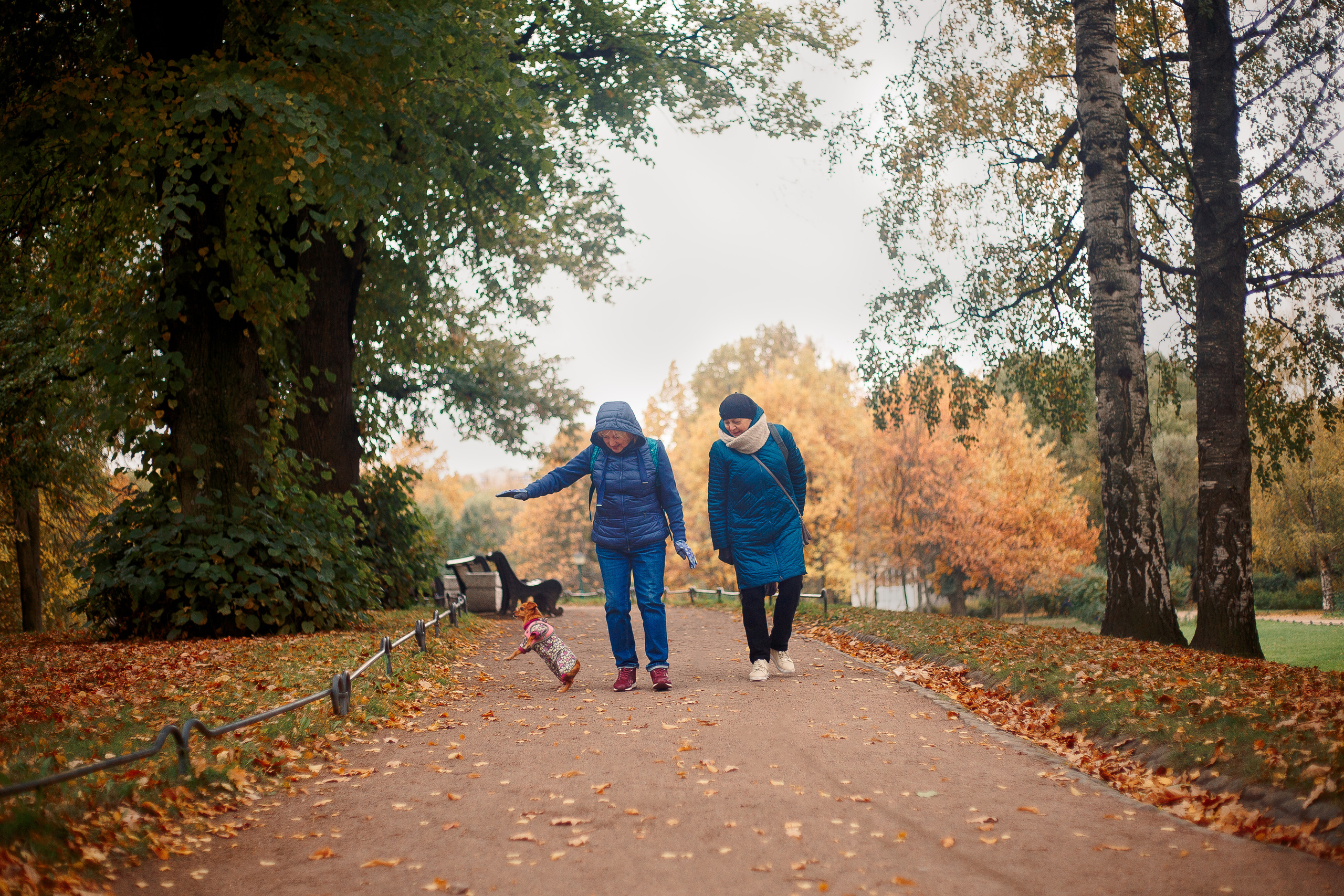 Таврический сад осенью. Фотограф-анималист Наталия Чистюхина в г. Сосновый Бор и ЛО