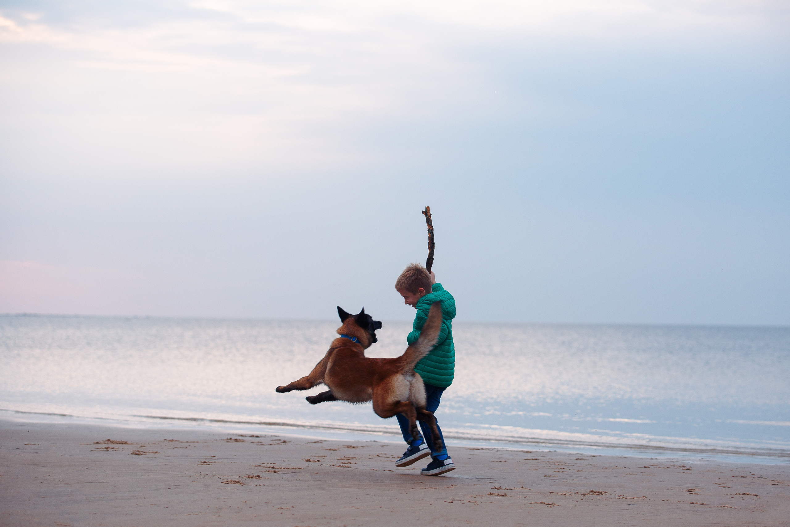 Закат на Финском заливе. Фотограф-анималист Наталия Чистюхина в г. Сосновый Бор и ЛО