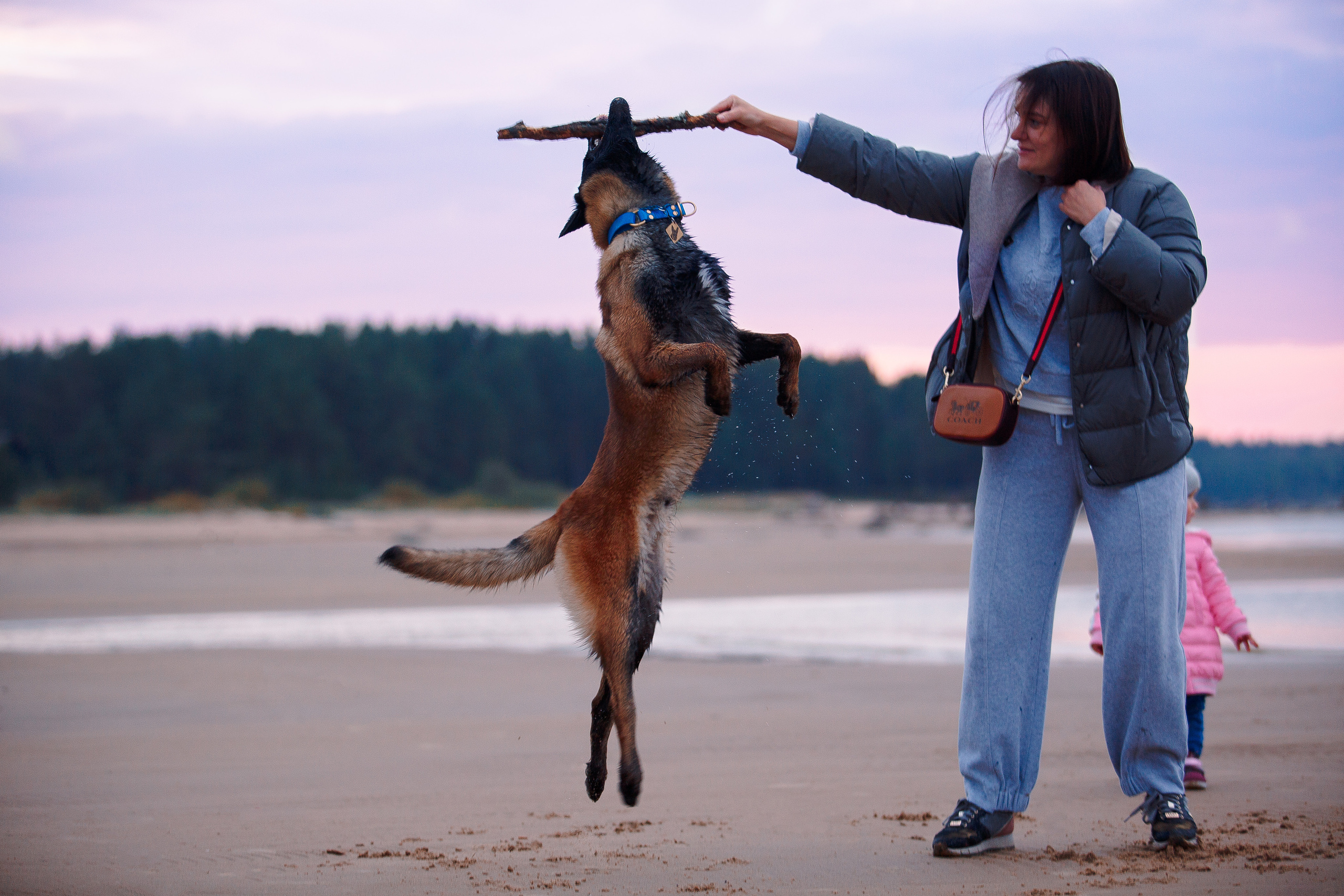Закат на Финском заливе. Фотограф-анималист Наталия Чистюхина в г. Сосновый Бор и ЛО