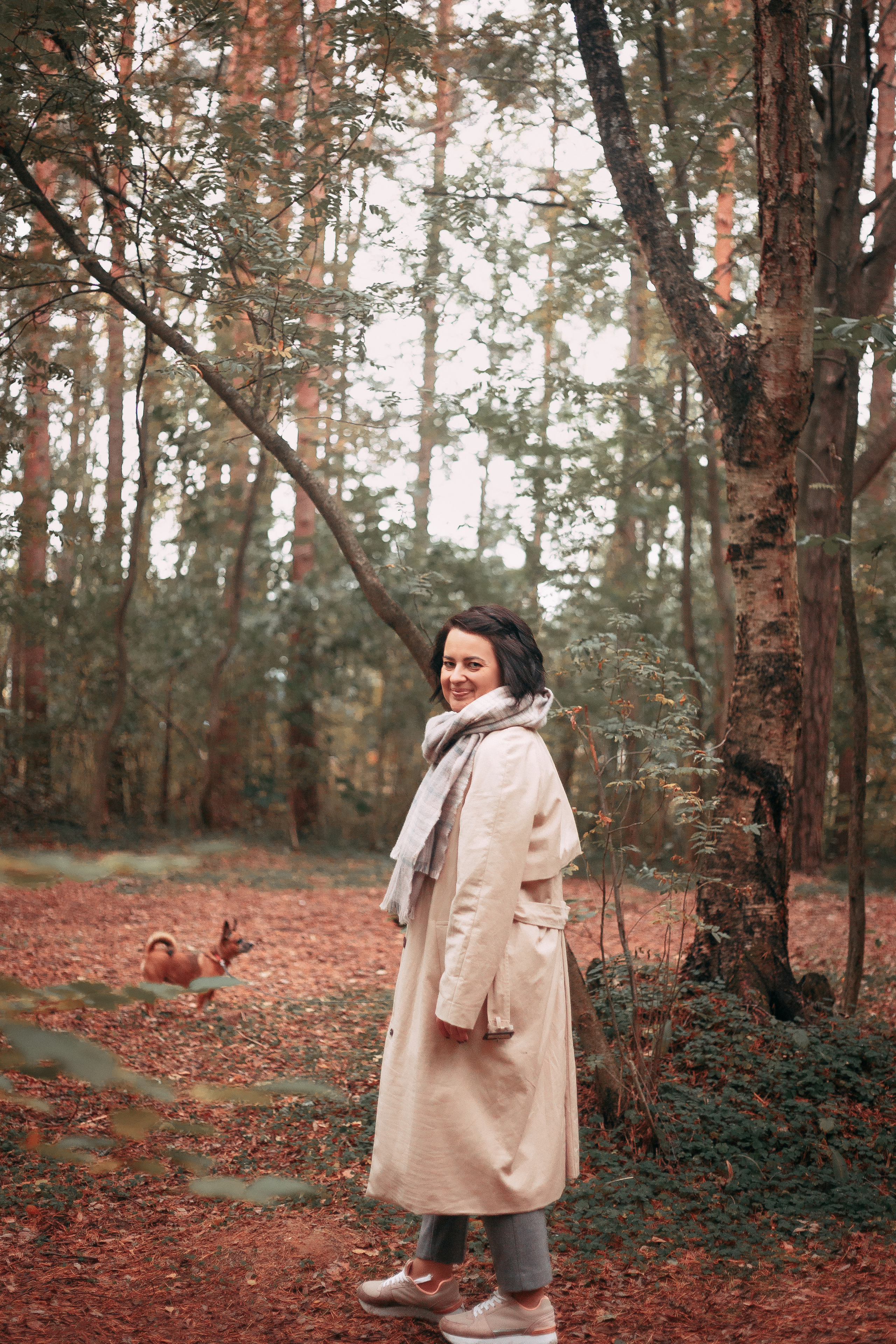 Осенний лес в Сосновом Бору. Фотограф-анималист Наталия Чистюхина в г. Сосновый Бор и ЛО