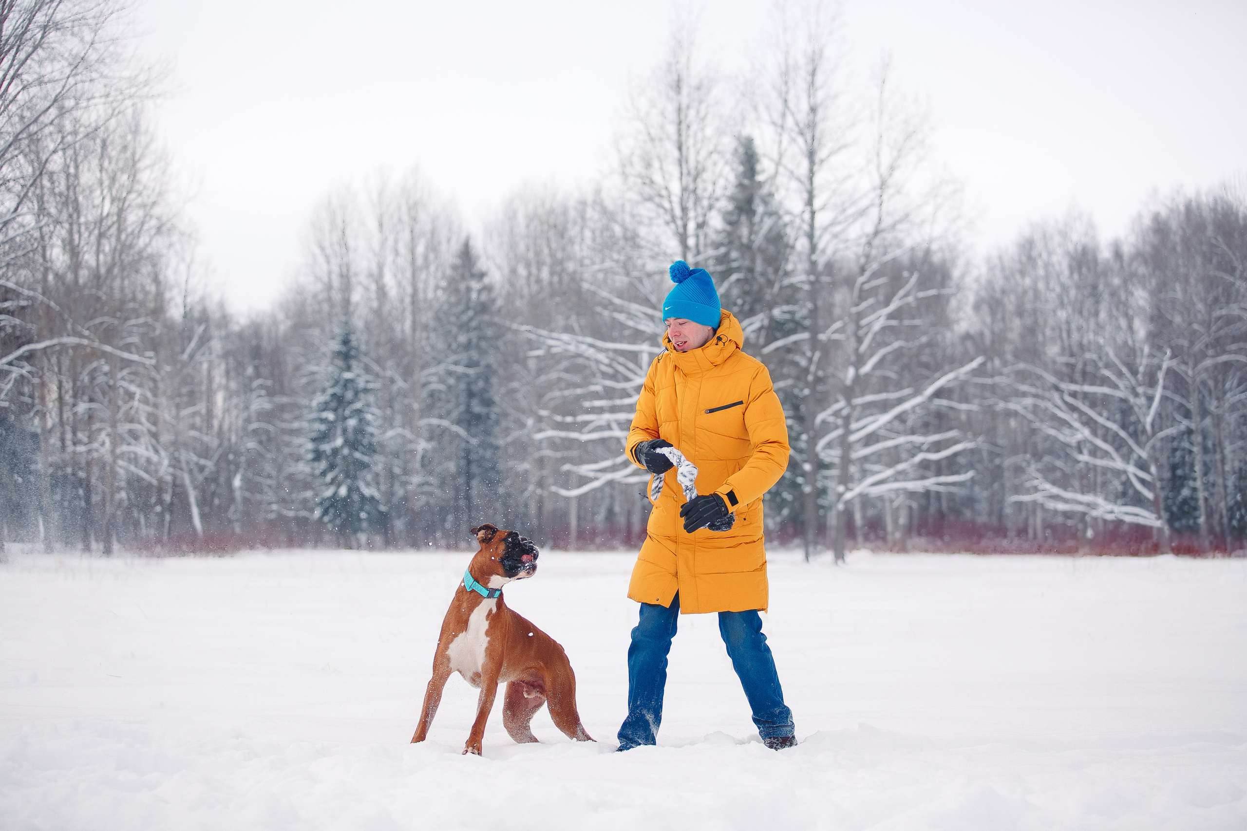 Алина, Саша и боксер Златан. Фотограф-анималист Наталия Чистюхина в г. Сосновый Бор и ЛО