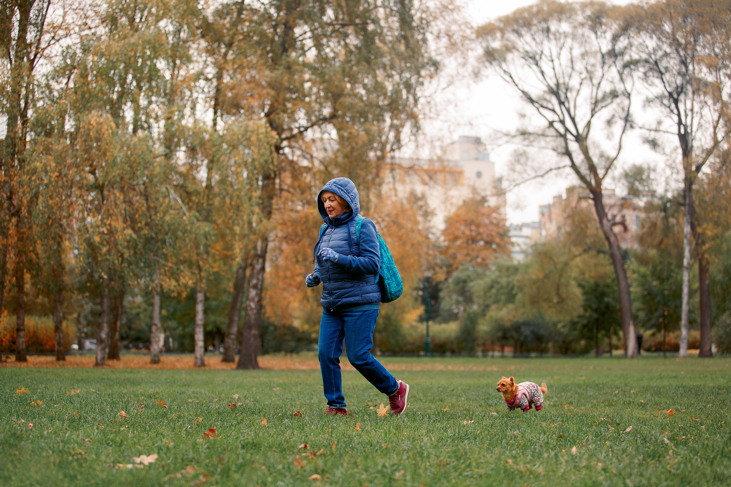 Таврический сад осенью. Фотограф-анималист Наталия Чистюхина в г. Сосновый Бор и ЛО