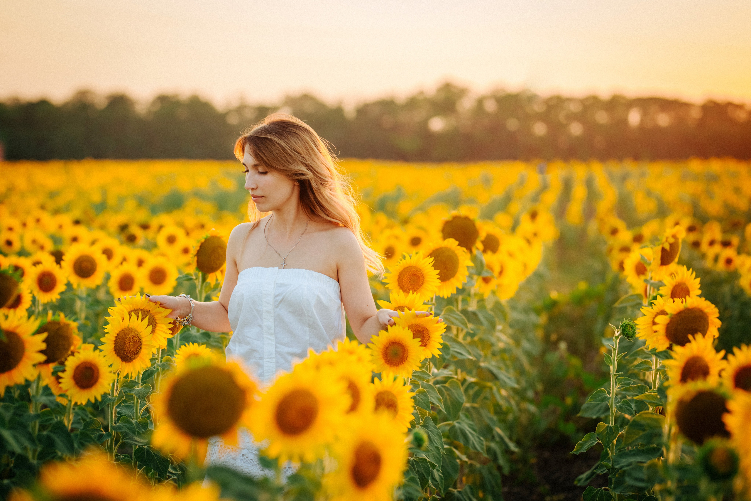 Подсолнухи!. Семейный, детский, свадебный, фотограф в городе Анапа
