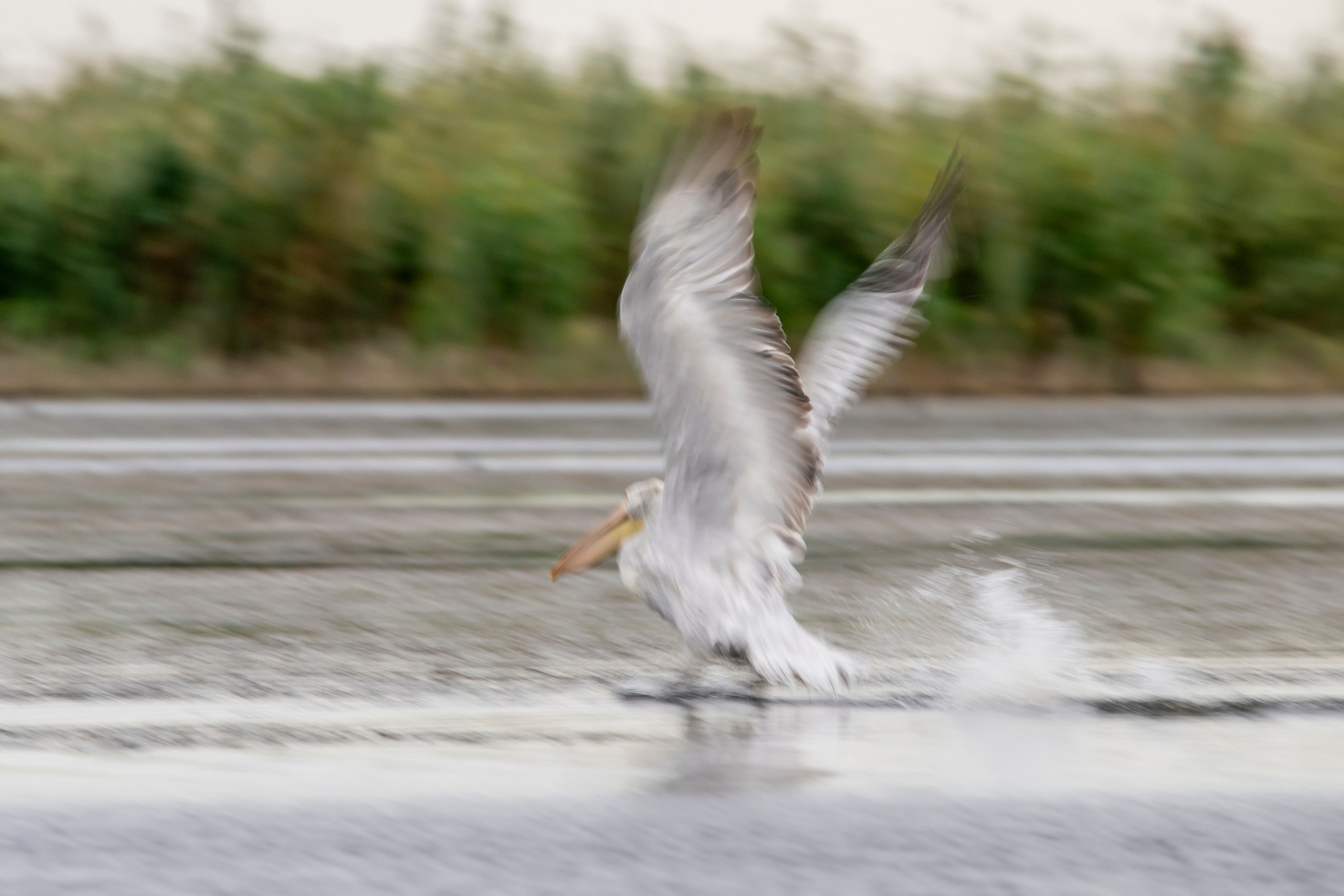 Природа Дагестана, сентябрь 2024. Foto-Zuev фотография как искусство